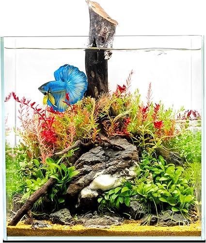 Miniatura 25 de Ultum Nature Systems - Acuario sin marcos ultratransparente, cristal con poco hierro, bordes con corte a inglete a 45º, grosor de 13/64 a 15/32