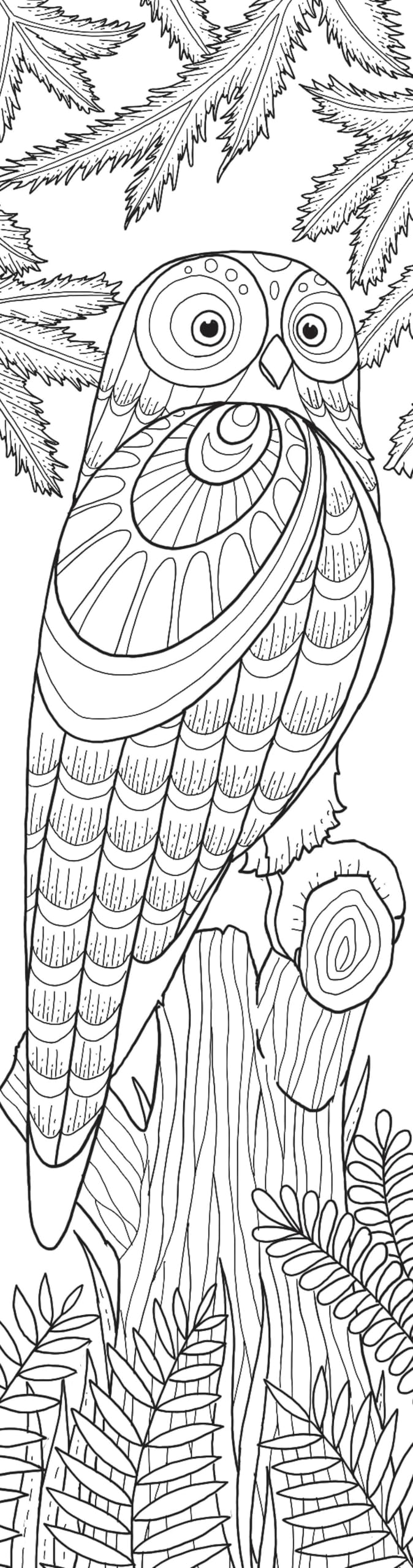Animals Coloring Bookmarks