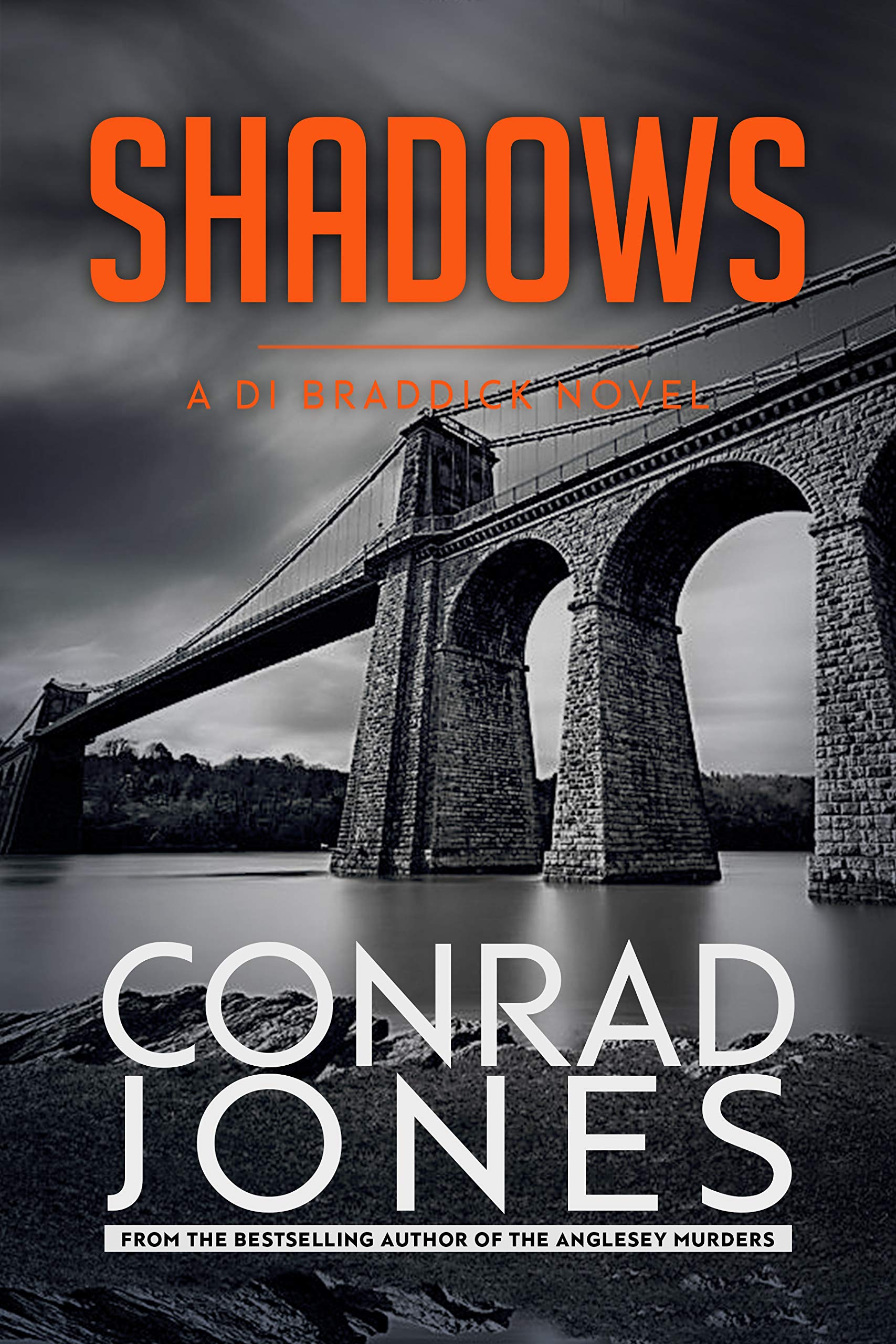 Shadows: an unputdownable thriller. Absolutely gripping (The Inspector Braddick Series Book 2)