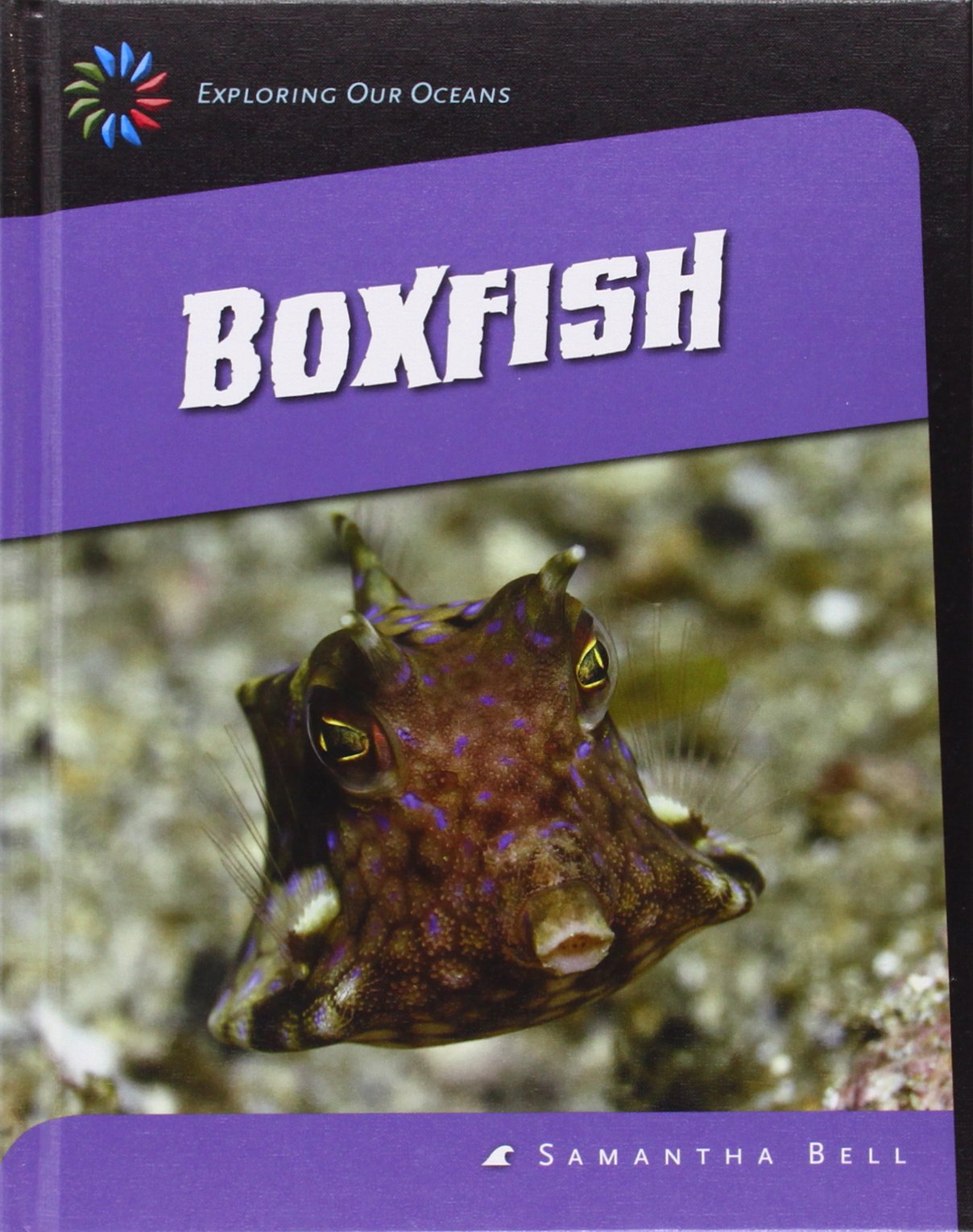 Boxfish (Exploring Our Oceans)