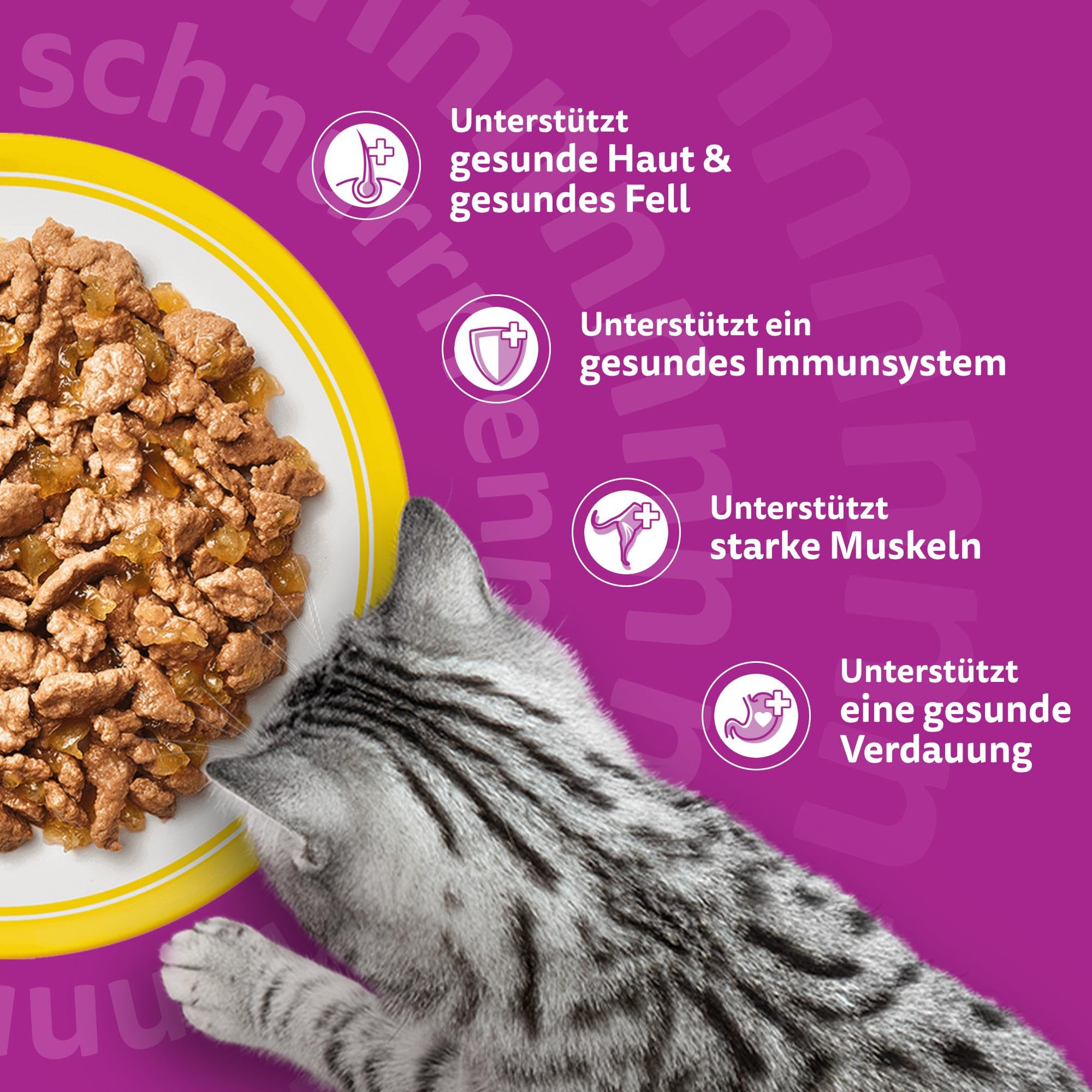 WHISKAS Nassfutter in Gelee für Katzen 84 x 85g Geflügel Auswahl
