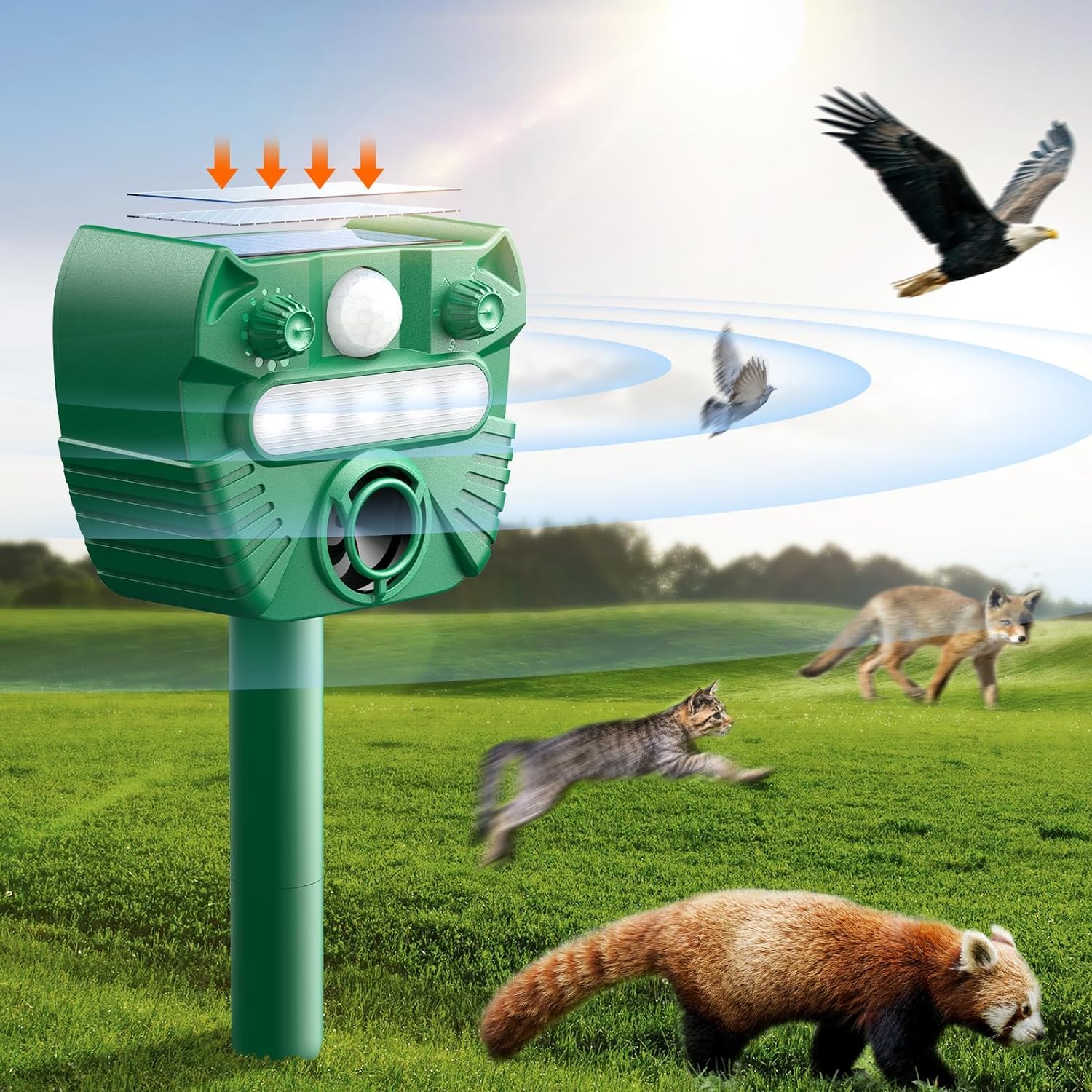 Répulsif ultrasonique chat, effarouchement solaire extérieur avec 5 modes pour cour et champ