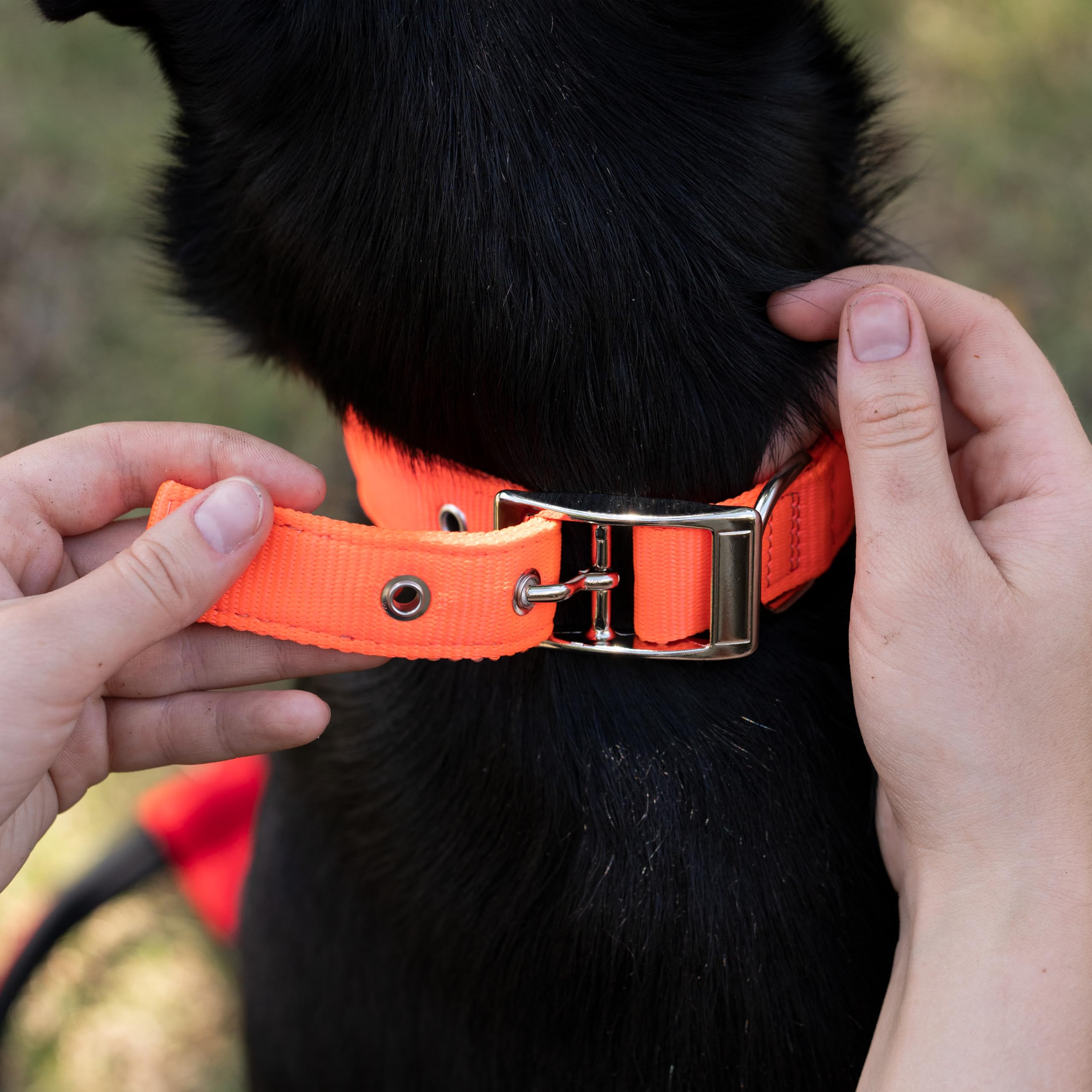 Ferplast Dog Collar Medium Large Size Dog Collar in Padded Nylon Adjustable Metal Buckle, Neck Size 34-42 cm, Grey - Image 4