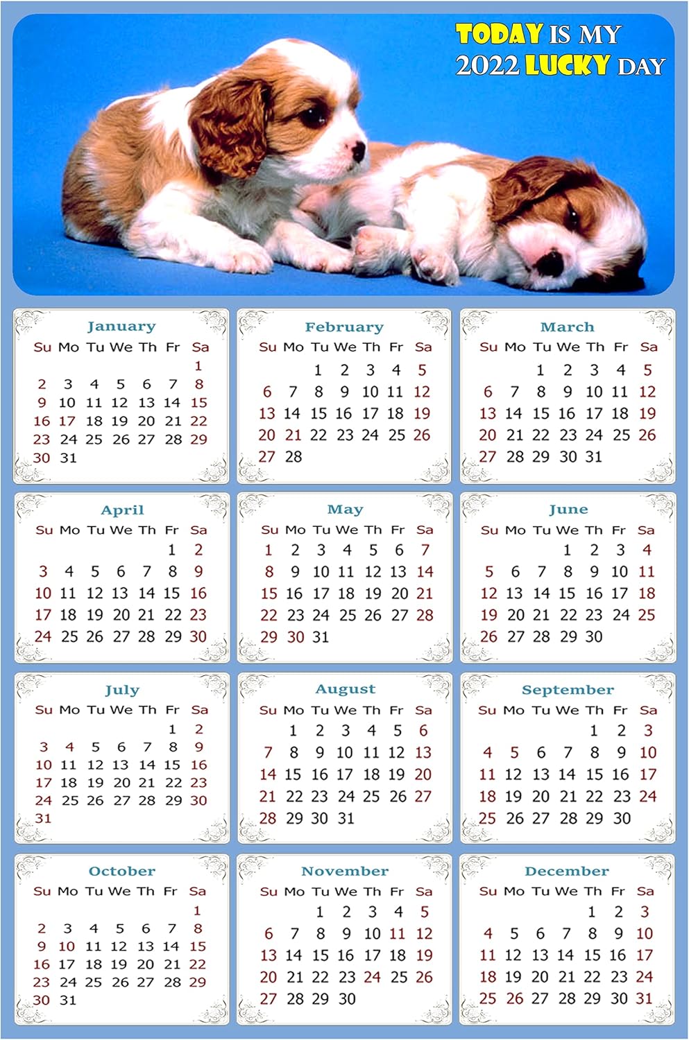 amazon com 2022 magnetic calendar calendar magnets today is my lucky day dogs themed 011 5 25 x 8 office products