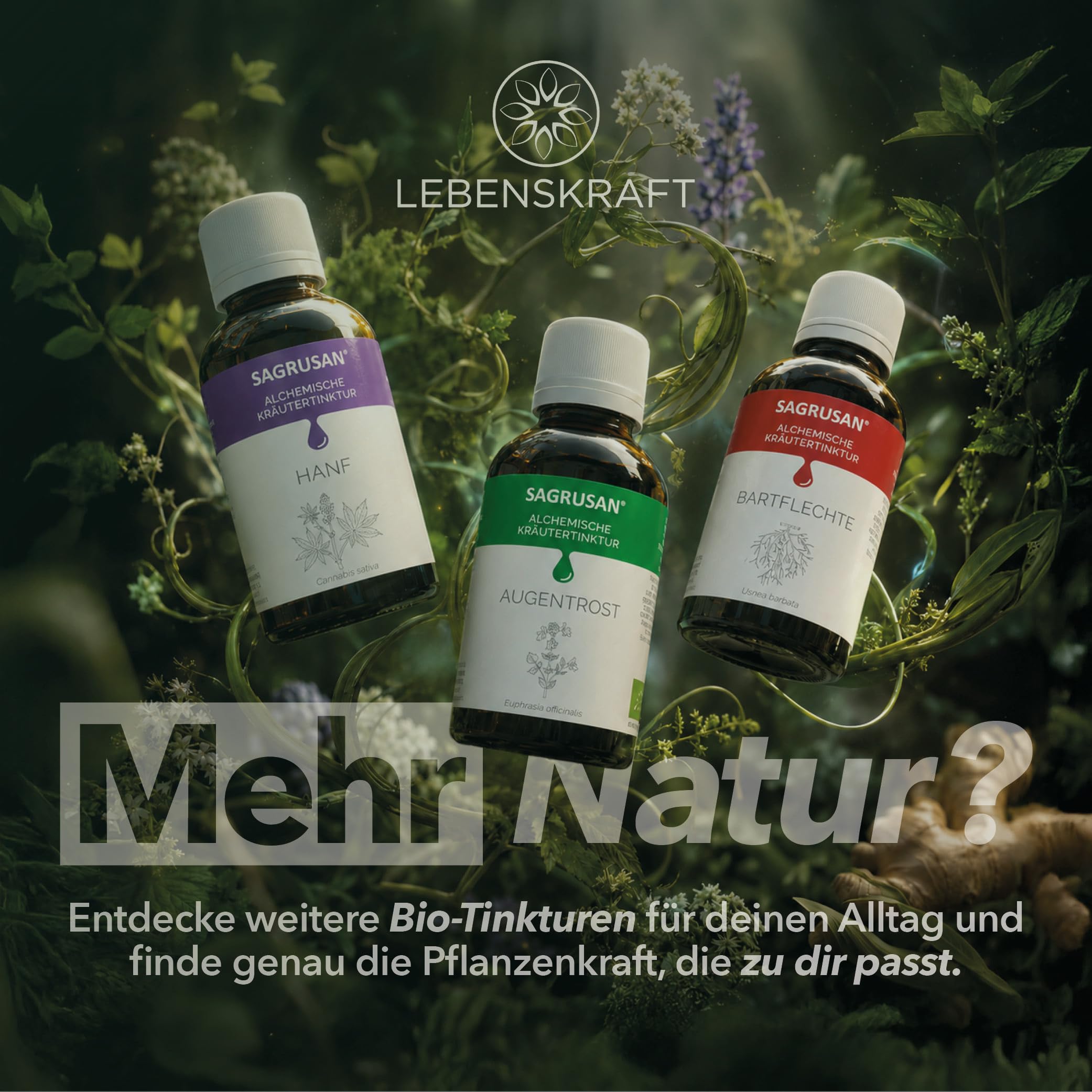 Baldrian hochdosiert Tropfen Bio 100 ml Baldrian Tinktur vegan mit Valeriana officinalis Extrakt, Kräuterextrakt aus Österreich, ohne Konservierungsstoffe mit Alpenquellwasser | 10 Jahre MHD