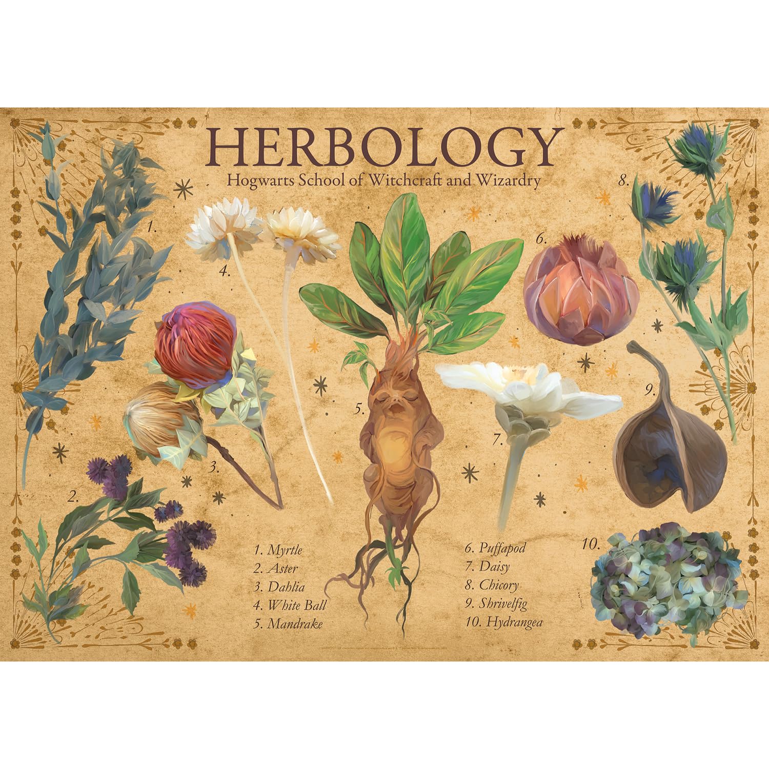 AQUARIUS Harry Potter Herbology - Puzzle da 1000 pezzi (puzzle da 1000 pezzi), senza abbagliamento, vestibilità di precisione, prodotto con licenza ufficiale Harry Potter e oggetti da collezione, 50,8