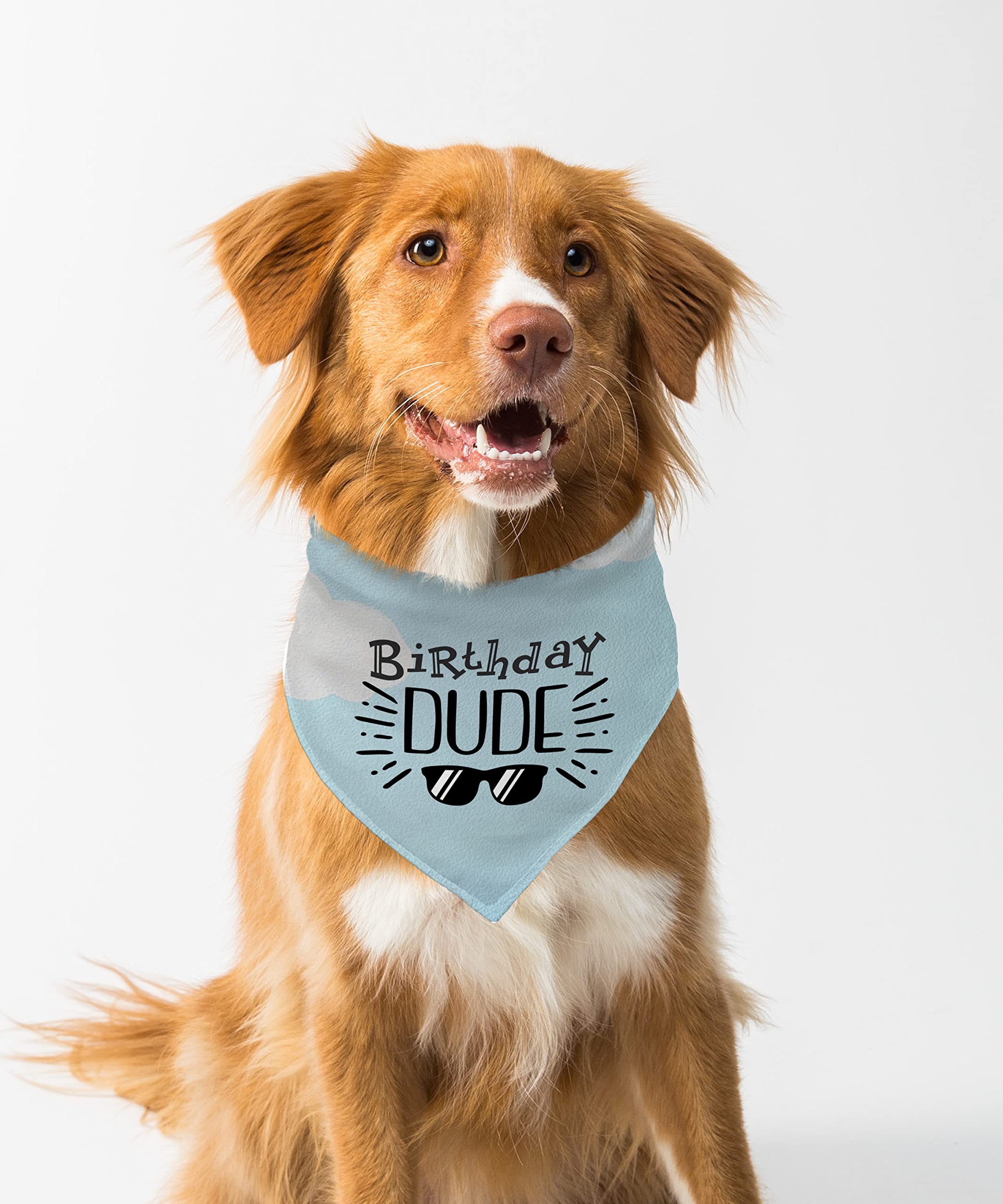 Farnup Adjustable & Comfortable Dog Bandana,Birthday Dude, Graphic Printed Bandana for Dogs | Dog Scarf, Accessory | Gifts for Dogs-M/L (B0BVHG8W6M) Amazon Price History, Amazon Price Tracker