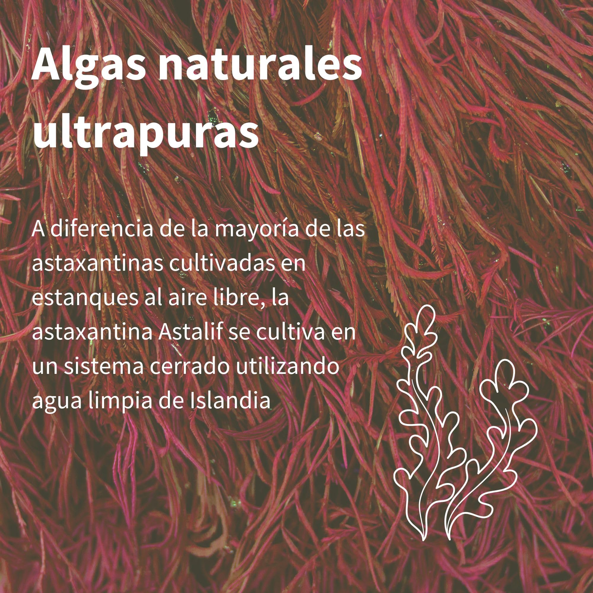 Igennus Astaxantina Natural 4mg, Potente Antioxidante, 90 Cápsulas 1 al Día, Alta Pureza de Microalgas H. Pluvialis, Origen Controlado, Ingredientes Puros, Suplemento Vegano