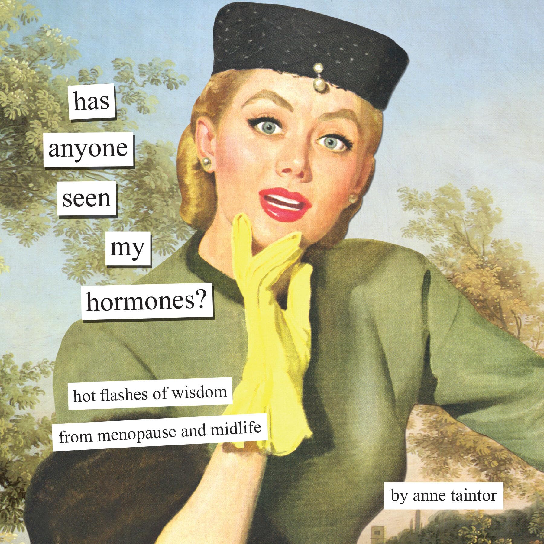 Has Anyone Seen My Hormones?: And Other Hot Flashes of Wisdom from Menopause and Midlife (Anne Taintor)