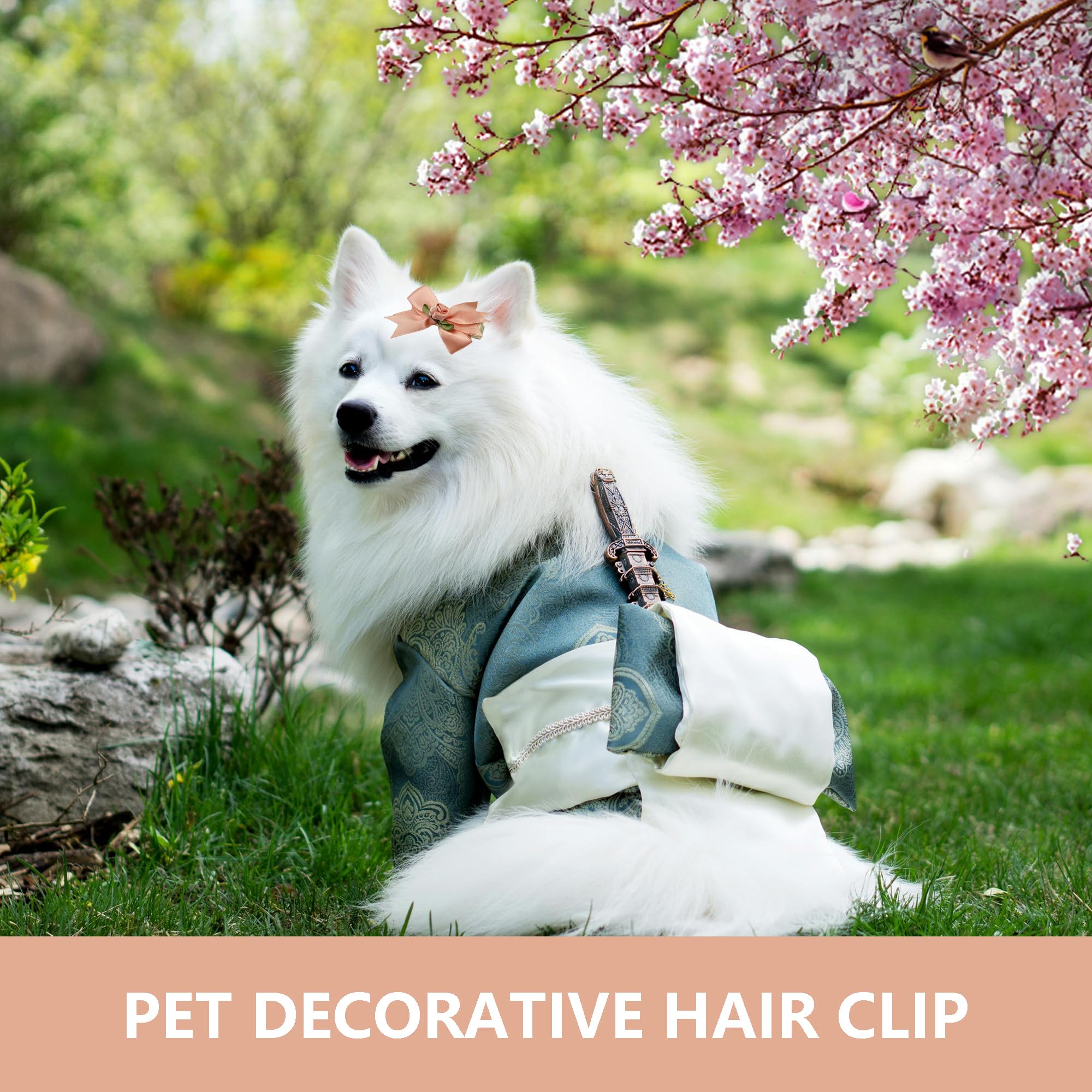 DHER 6 piezas pinzas para el cabello para perros, hebilla de cabello, pinza para el cabello, para mascotas, clips de pelo, pequeños animales, clips de pelo, súper peinado, para perros, accesorios de