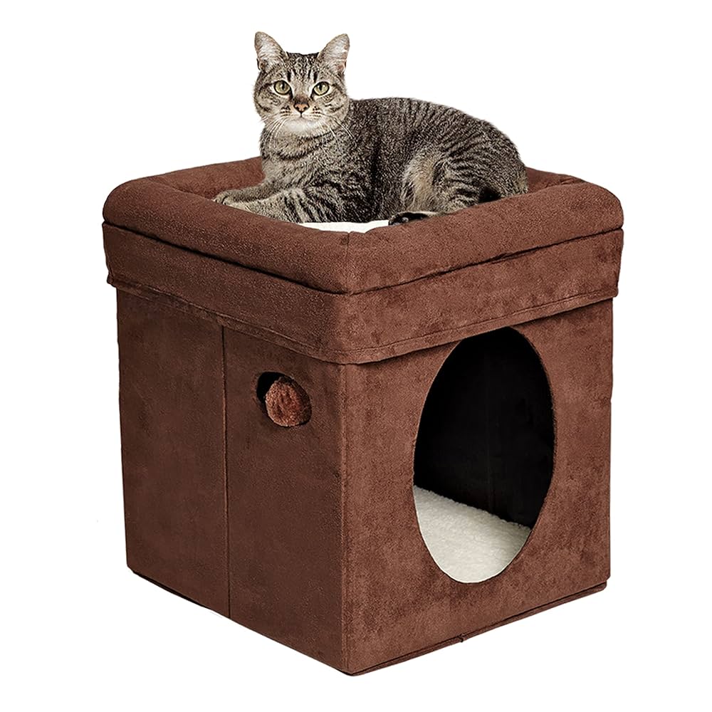 Amazon.com : MidWest Homes for Pets Feline Nuvo Curious Cat