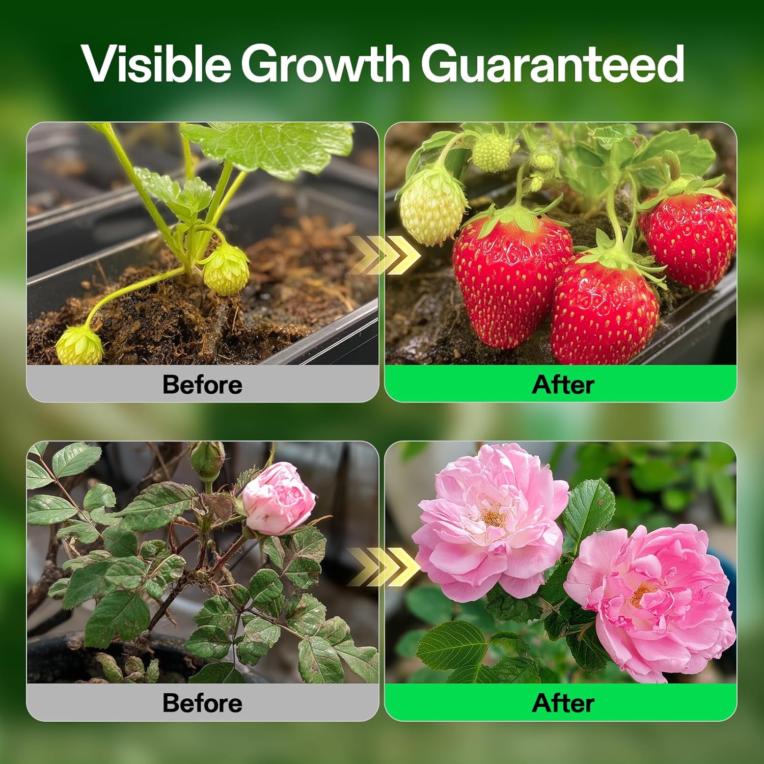 VIVOSUN Liquid Nutrients Base A & B Bundle, Grow Big Hydroponic Fertilizer, Supports Vegetative and Flowering Stages for Outdoor, Indoor Plants, Best Plant Food, Set of 8oz (Pack of 2)