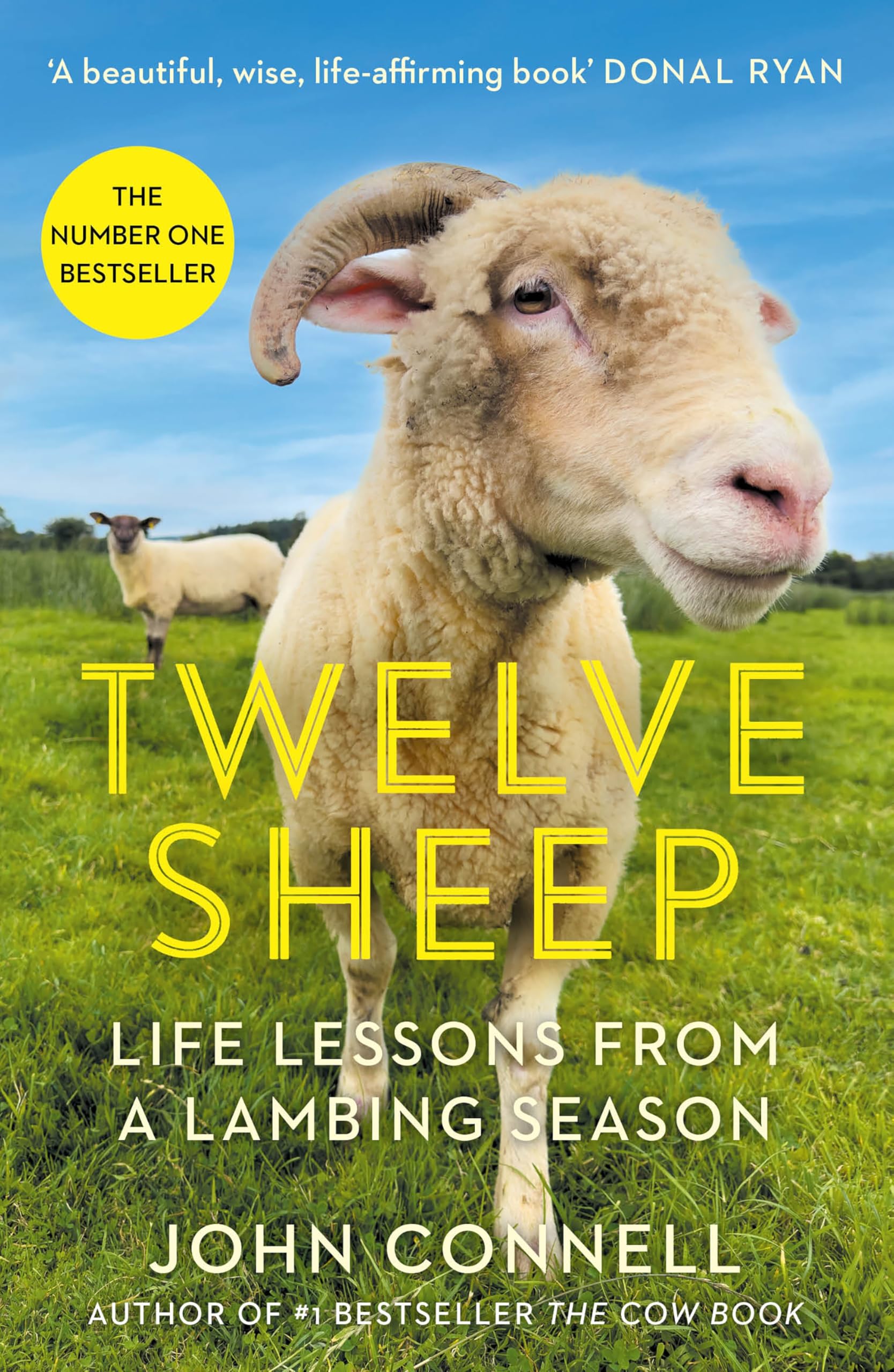 Twelve Sheep: Life lessons from a lambing season By Connell, Jo .9781805461920