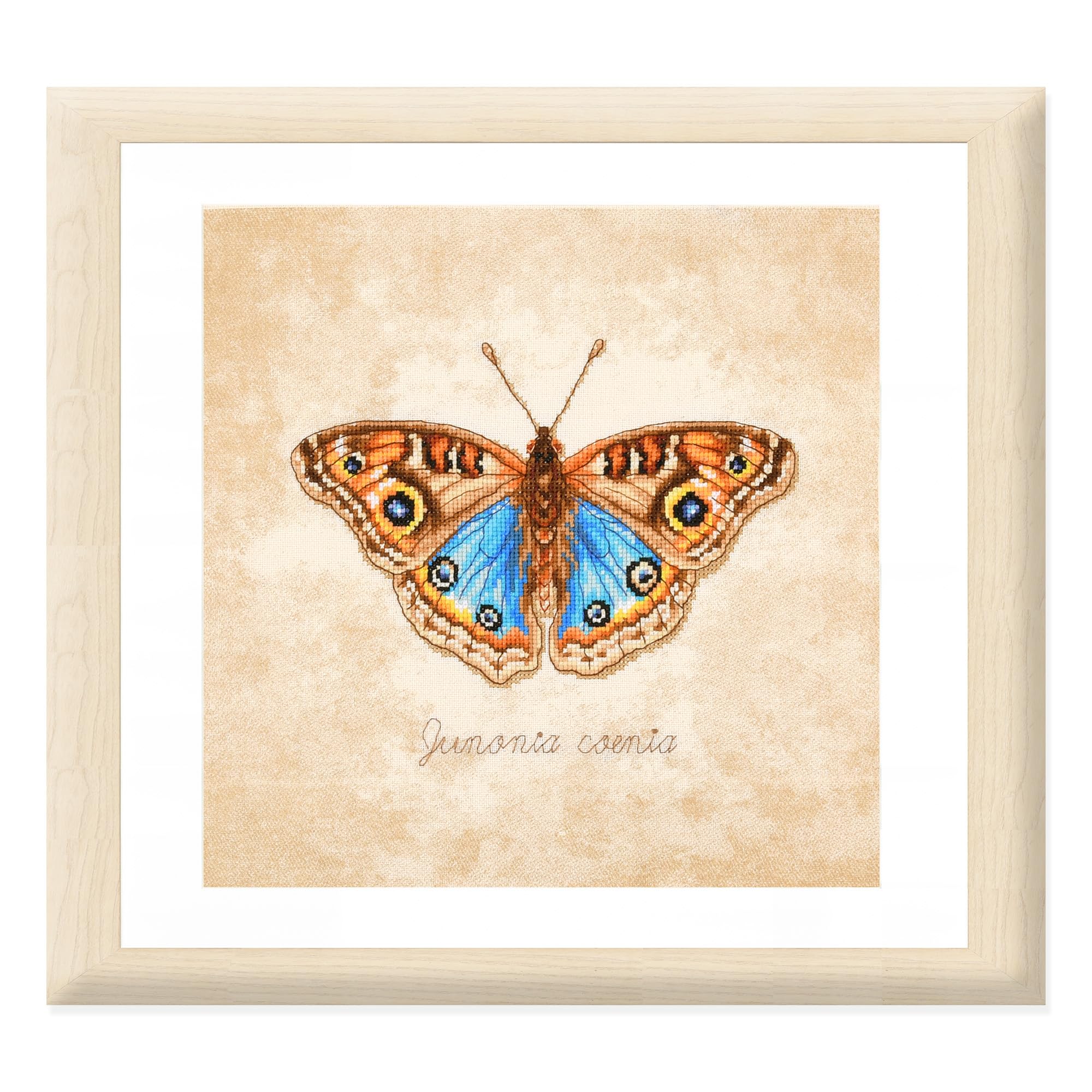 LANARTE Haft Krzyżykowy Liczony Zestaw Obraz do Haftu JUNONIA COENIA Zrób to Sam Zestaw Kreatywny dla Dorosłych Rękodzieło Artystyczne 21 x 21 cm Dekoracja Ścienna DIY Cross Stitch Kit