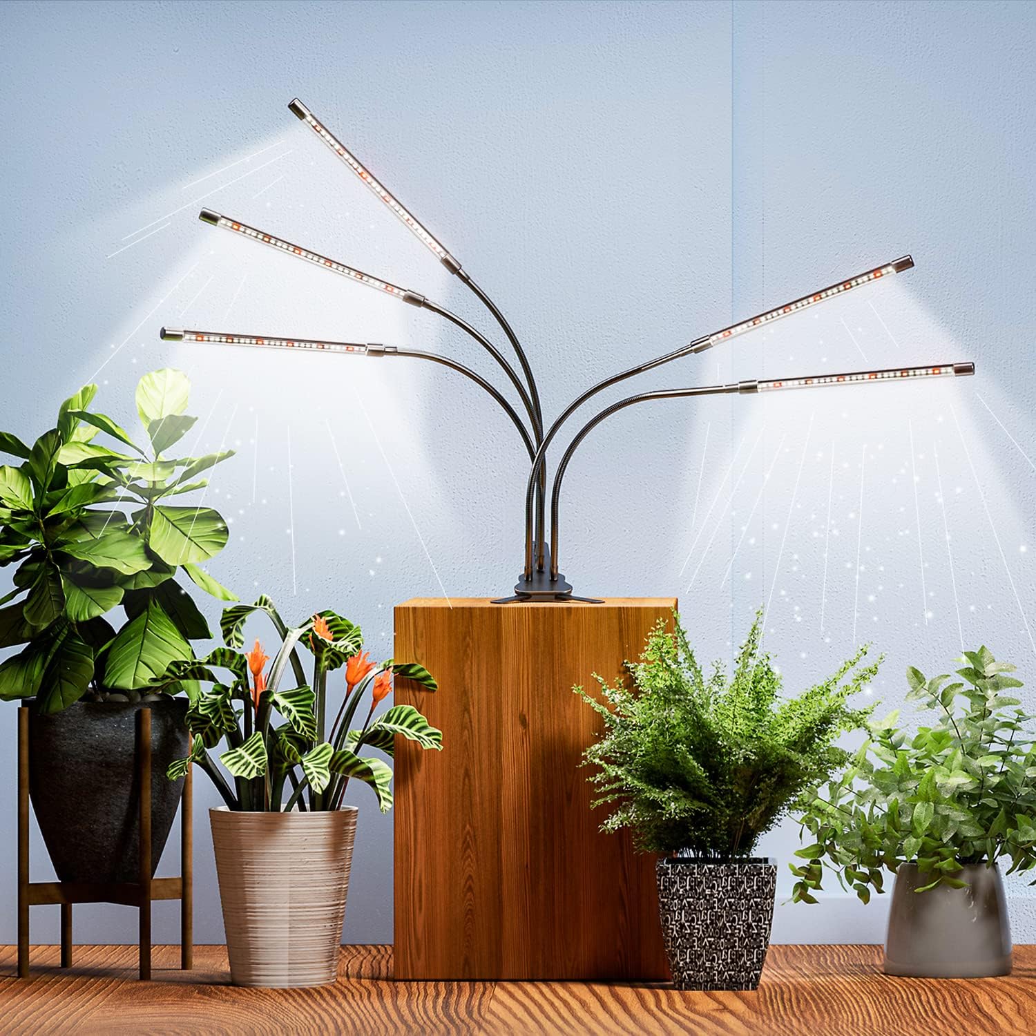 Buy Grow Lights for Indoor Plants, DICCEAO 150W LEDs Grow Light for