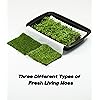 Product Photo 7