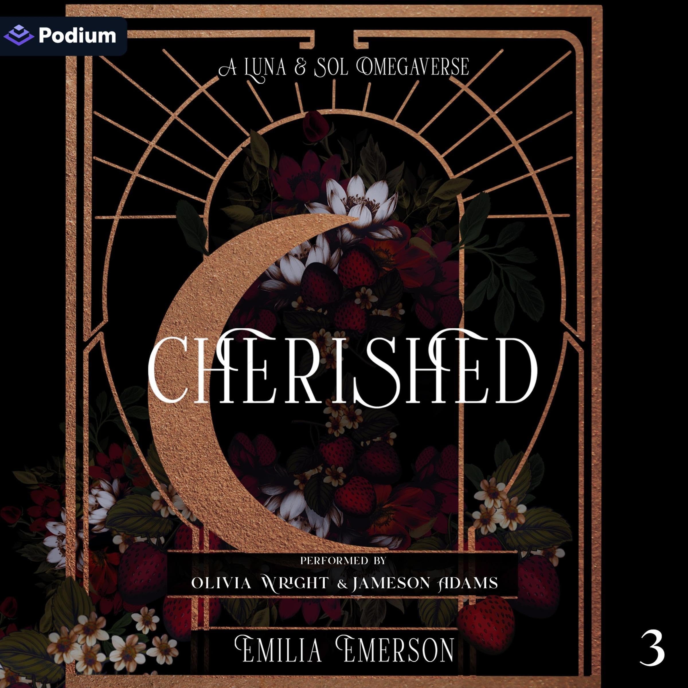 Cover art for Cherished: Luna & Sol Omegaverse, Book 3