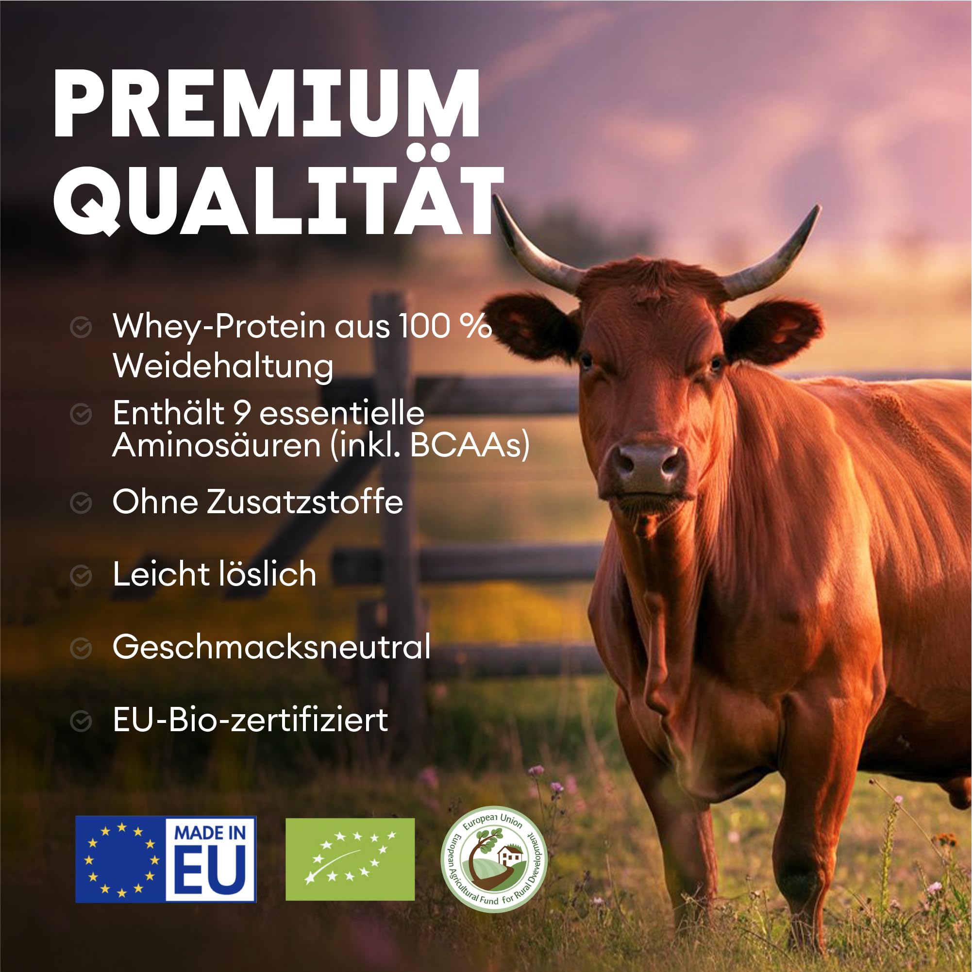 Nutriest Whey Protein Pulver (1kg) – Bio Whey Protein aus Europa | 100% Weidehaltung | Eiweißpulver mit hohem Proteingehalt | Für Shakes & Fitness