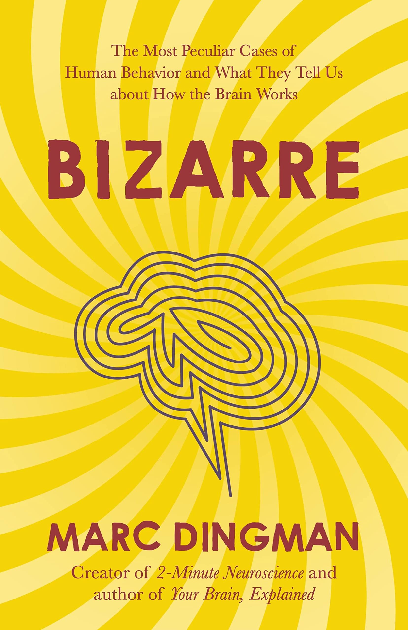 Bizarre by Marc Dingman PAPERBACK 9781399801201