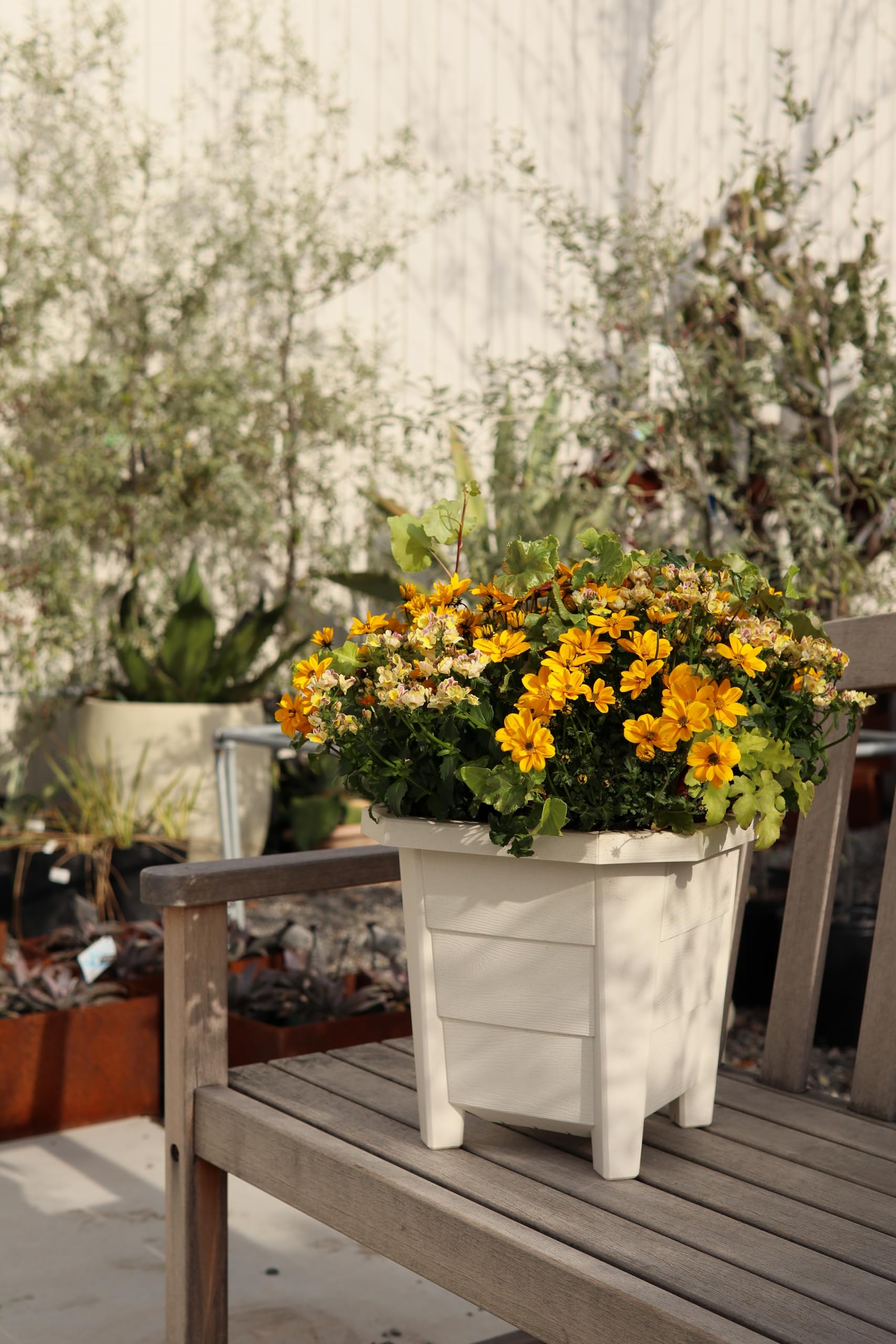 Amazon | アップルウェアー 鉢 プランター 花と野菜のプランター 300型