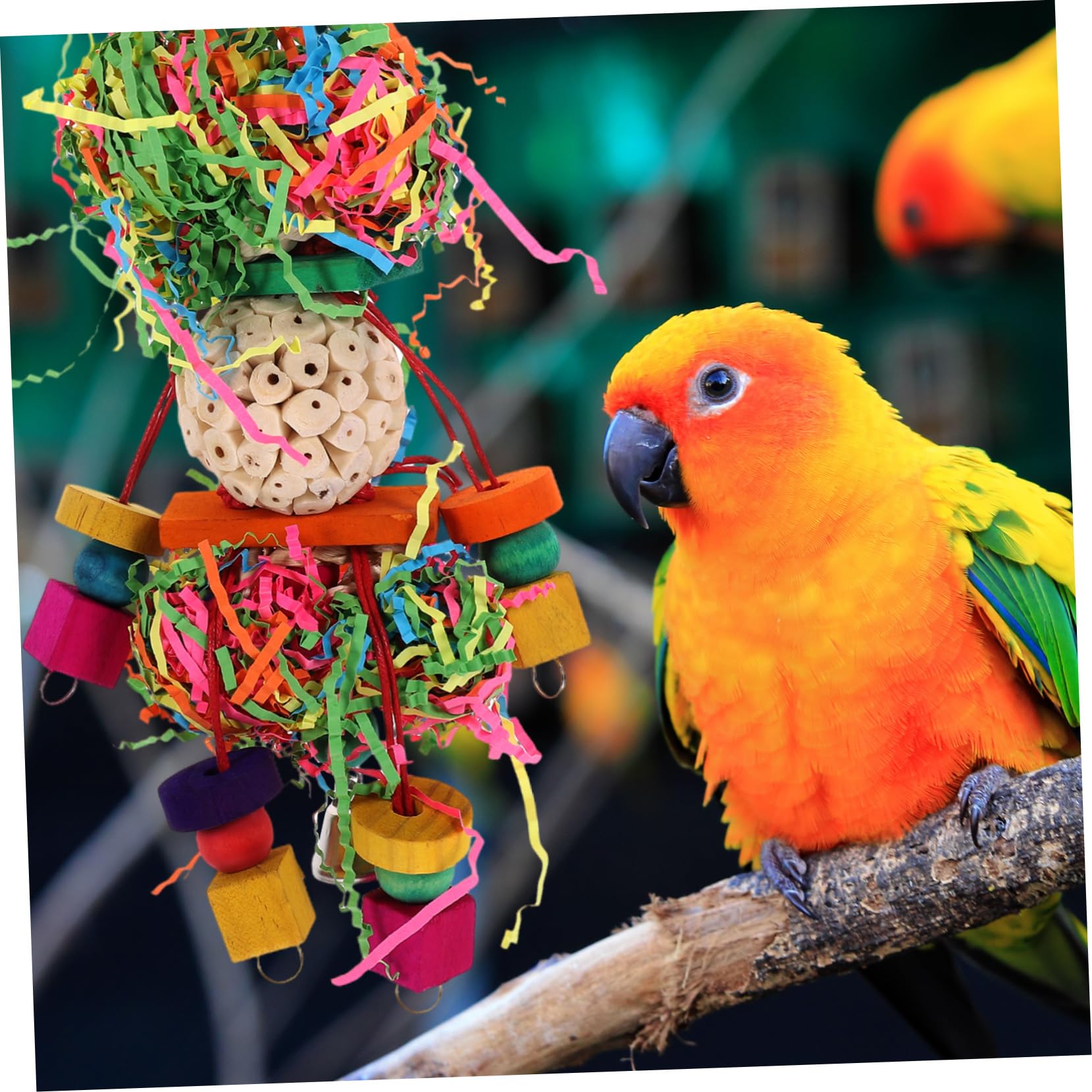 HAPINARY Hangende natuurlijke kauwgeborstelde knabbelpapegaai tegen verveling (nr. 3) vogel speelgoed papegaai speelgoed vogel vogels houten speeltoestel de vogel HAPINARY Hangende natuurlijke kauwgeborstelde knabbelpapegaai tegen verveling (nr. 3) vogel speelgoed papegaai speelgoed vogel vogels houten speeltoestel de vogel