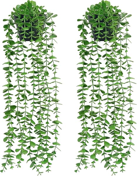 Mr. Bom Künstliche Eukalyptus Hängepflanze – 50 Cm Hoch, Mit Topf, Für Innen- Und Außendekoration