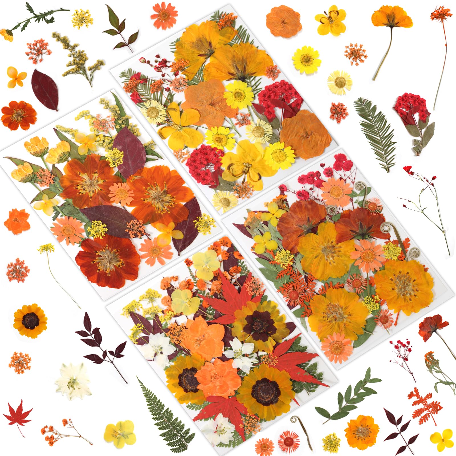 LUXEEASE 120 Pcs Dried Pressed Flowers