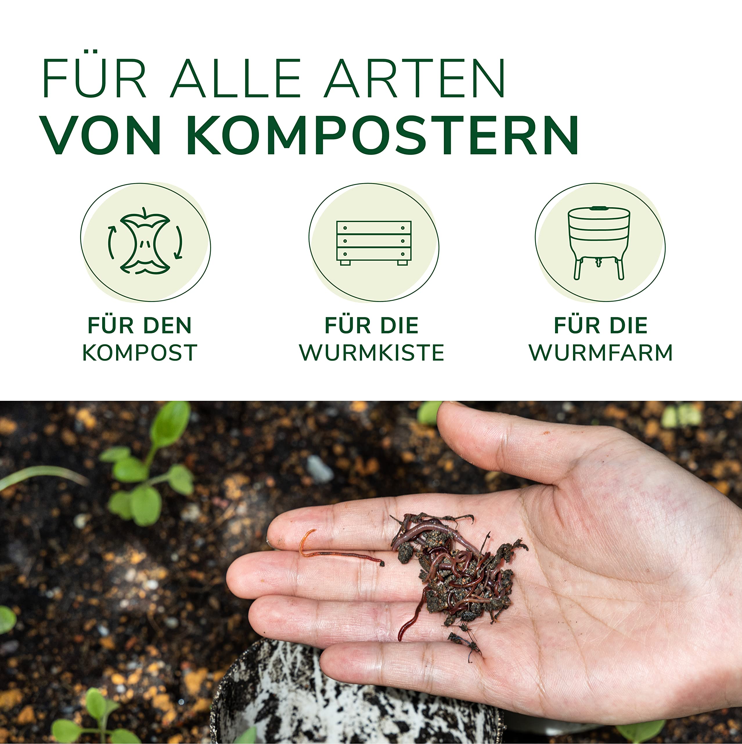 Natursache Kompostwurm-Mix 250 STK./Box + E-Book I Mit 3 Arten lebenden Kompostwürmer I Für eine schnelle & nachhaltige Kompostierung in Schnellkomposter, Thermokomposter und Wurmkomposter etc.