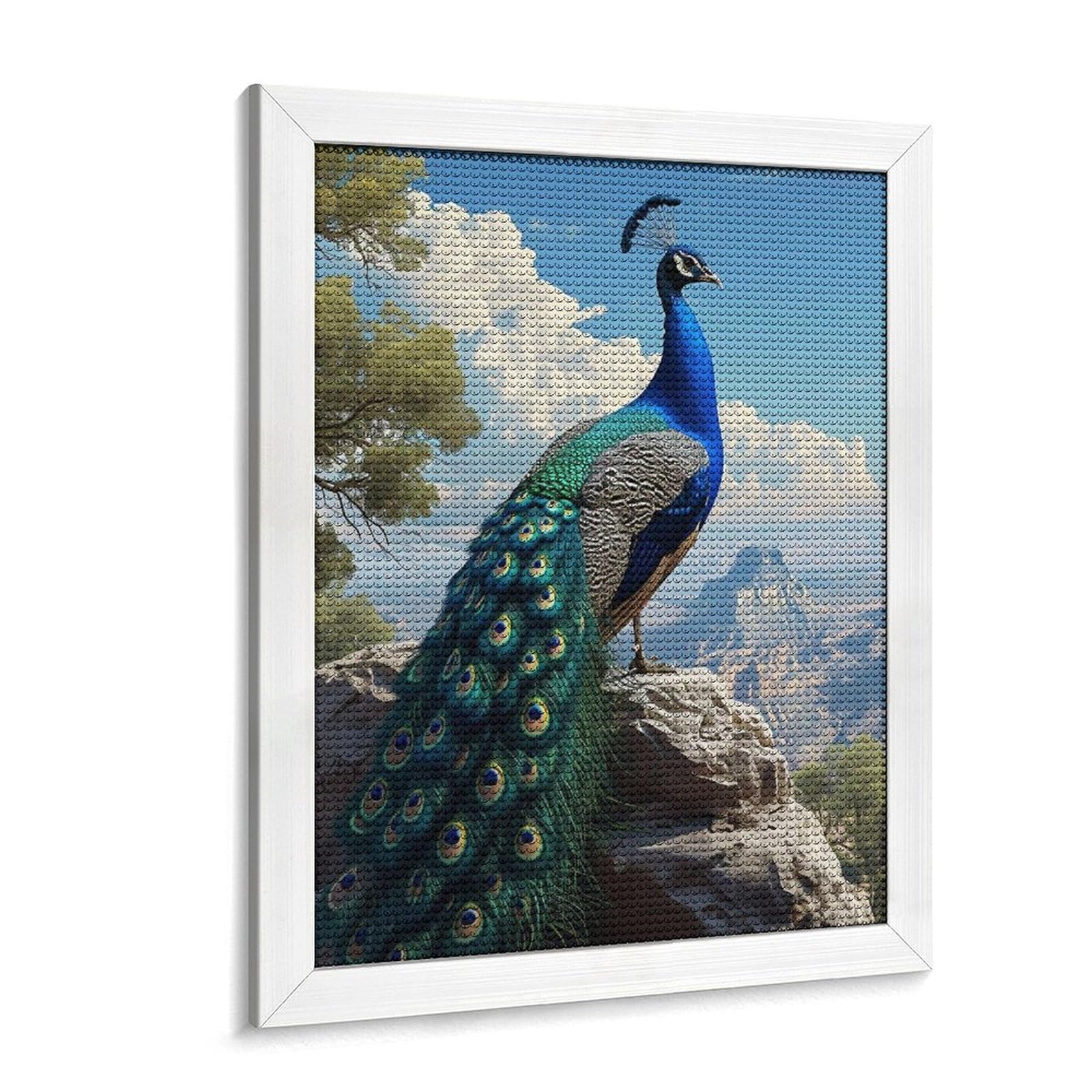 Amazon | ダイヤモンドアート 山の岩の上の孔雀 ダイヤモンド刺繍 全面