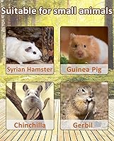 Vista 7 de BNOSDM Plataforma grande de madera para hámster con escalera, plataforma de pie de madera natural para hámsters sirios, conejillos de indias