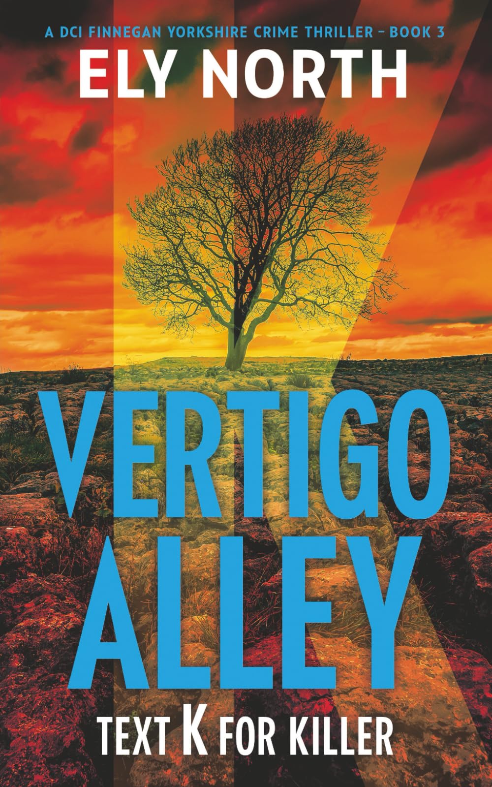 Vertigo Alley: Text K For Killer: A DCI Finnegan Yorkshire Crime Thriller - Book 3