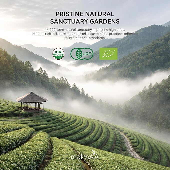 Té Matcha Verde Orgánico Premium en Polvo 60g miniatura 3