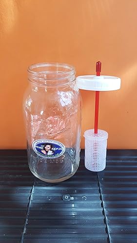 Miniatura 2 de Fermentador de kéfir 1.5L50oz con recipiente grande (120cc) con granos KEFIR