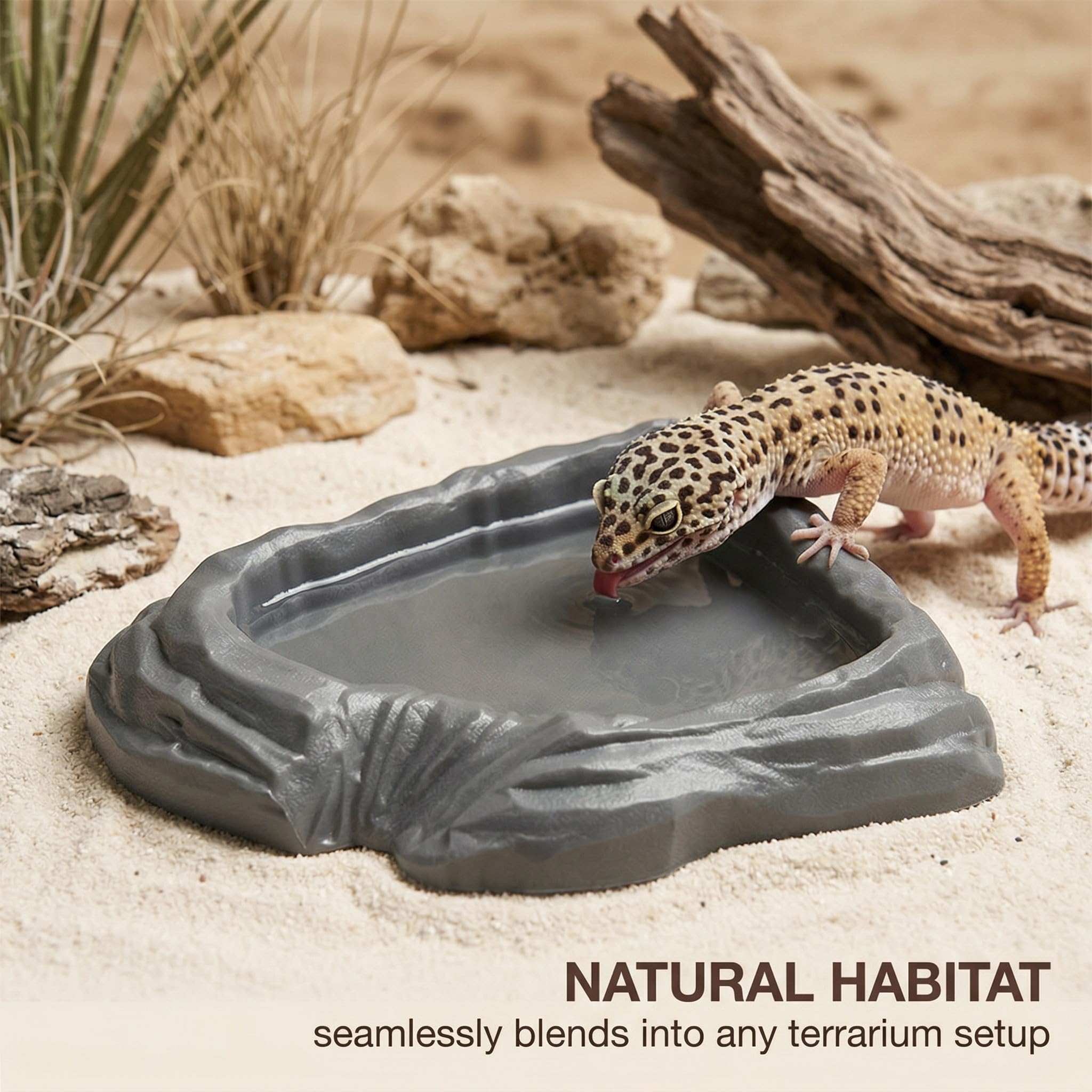 2 Pièces Bol D'Alimentation Pour Reptiles Nourriture Tortue Terrestre, Nourriture Pour Bol Pour Reptiles En Feuilles, Bol À Boire Pour Maison De Tortue, Bol D'Eau Pour Reptiles