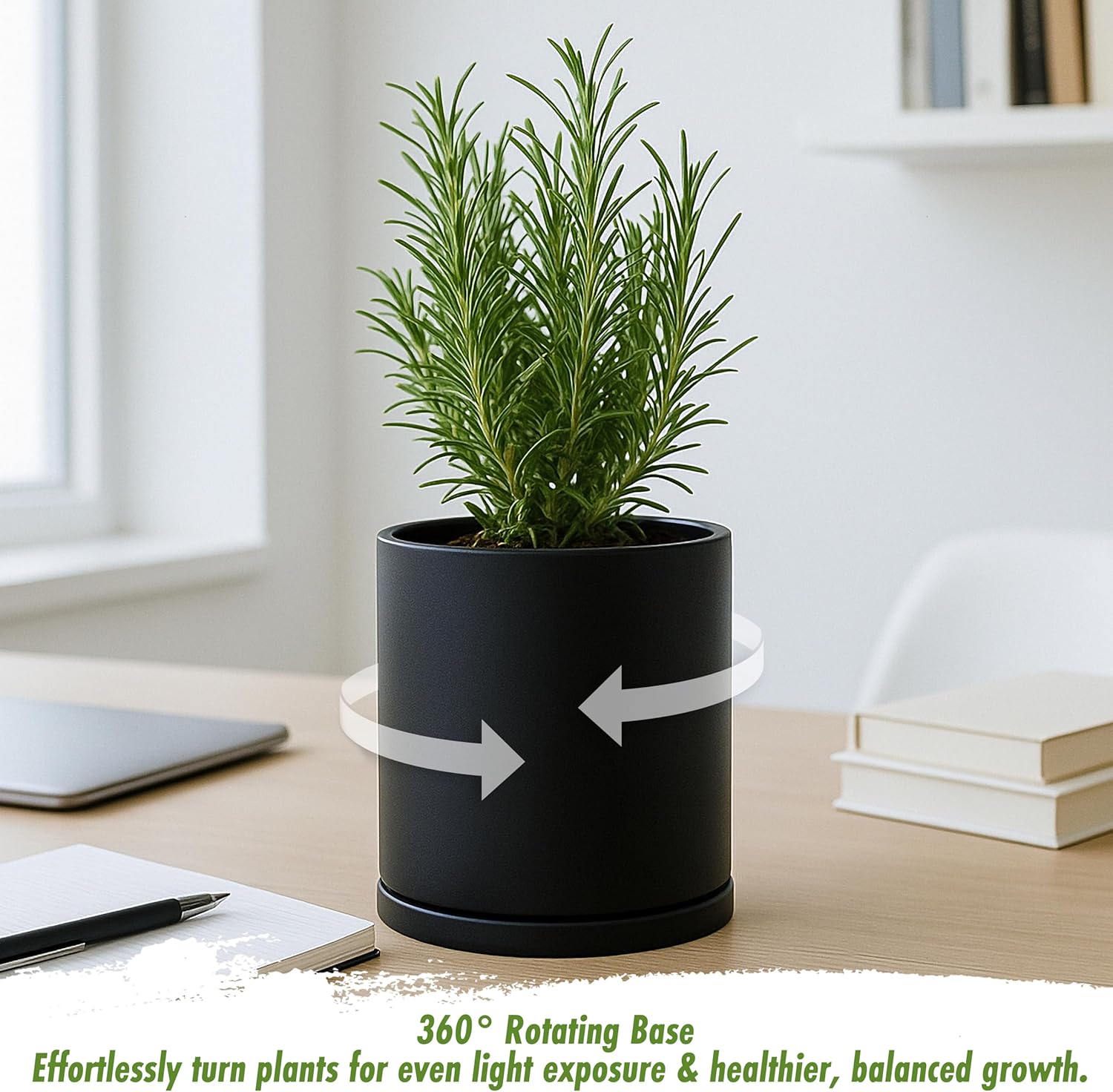 D'vine Dev Double-Layer Self-Draining Planter Set – Rotating Plastic Outer Pot with Clear Inner Liner for Root Health, Perfect for Indoor Plants, 4.5", Set of 2, Black, 73-V-B-1