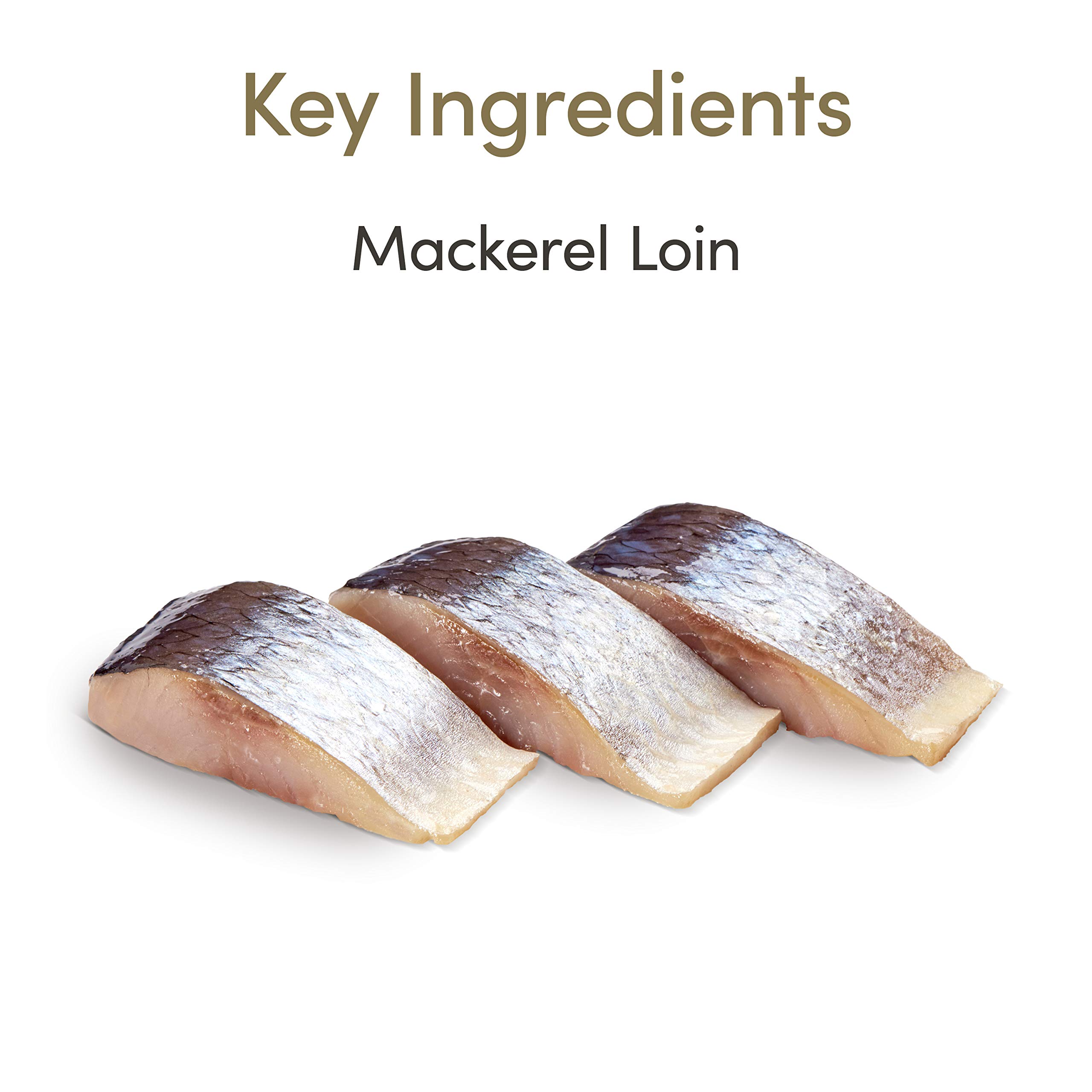 Applaws Cat Treat, Mackerel Loin 30 g (Pack of 12) + Applaws natürlich Katzenleckerli, Ganzer Thunfisch Loin Katzensnack, 30g Beutel (Packung mit 12 Beuteln)
