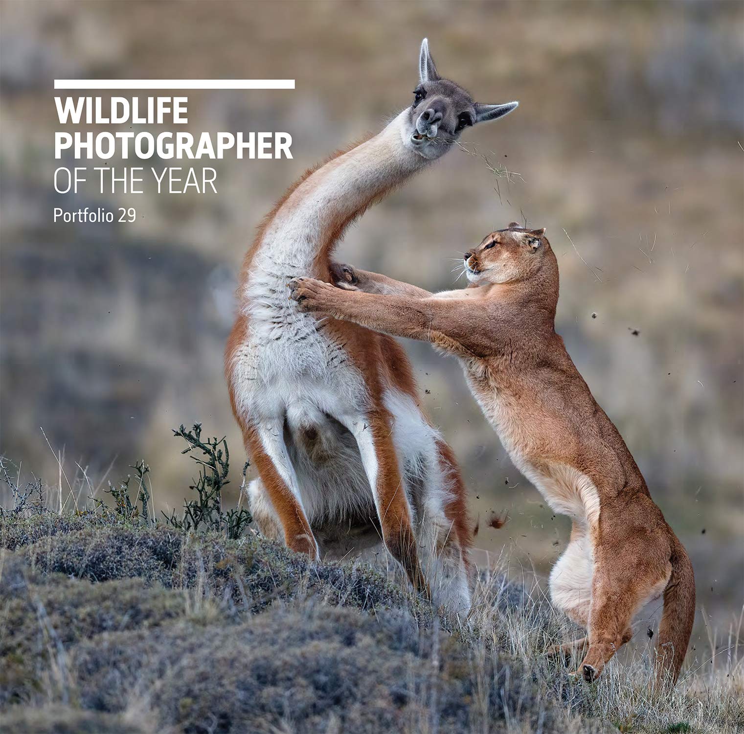 Natural History Museum Wildlife Photographer of the Year: Portfolio 29