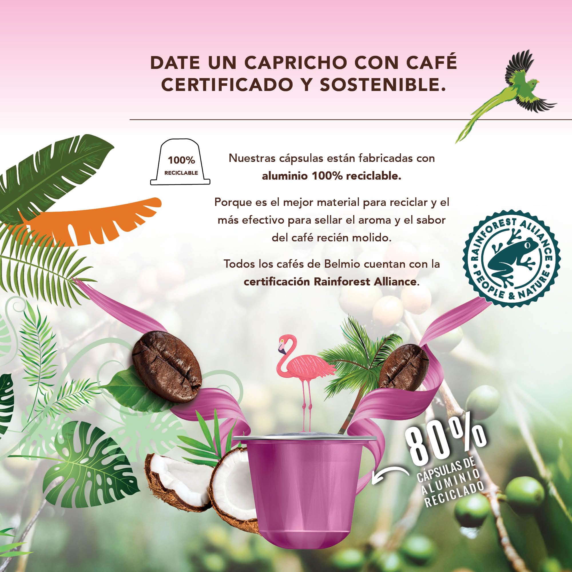 Belmio Cápsulas Nespresso Compatibles, Pack Gama Todos los Sabores, Capsulas de Café Tostado Medio, Intensidad 6 y 7, Auténtica Calidad de Bélgica, 8 Sabores, 100 Unidades