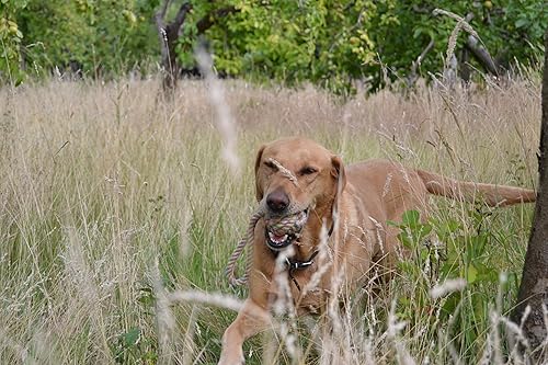 Miniatura 5 de Beco Juguete chirriante suave y masticable de cuerda de cáñamo para perro, masticar, buscar, tirar, limpiar los dientes con la masticación