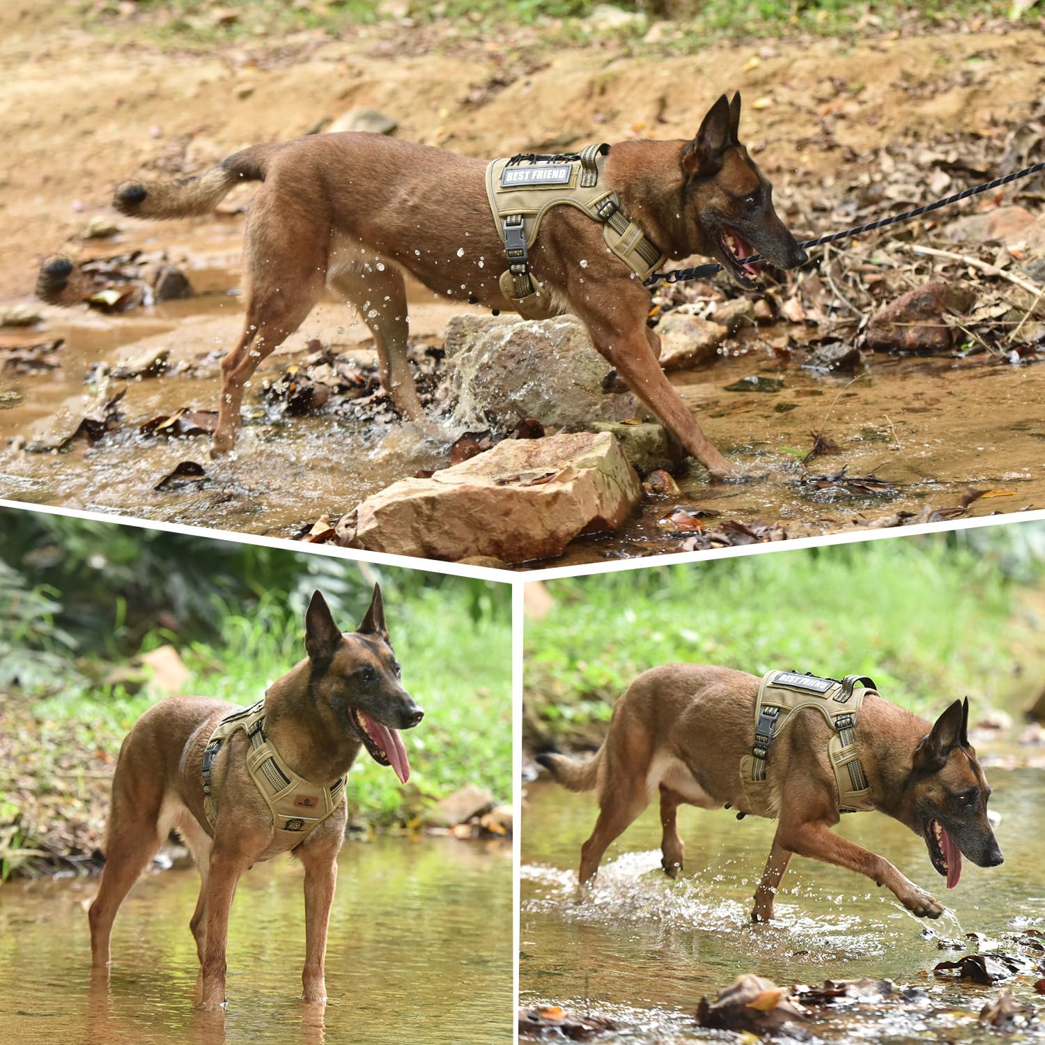Pet Marvel Arnés para Perro Marrón XL