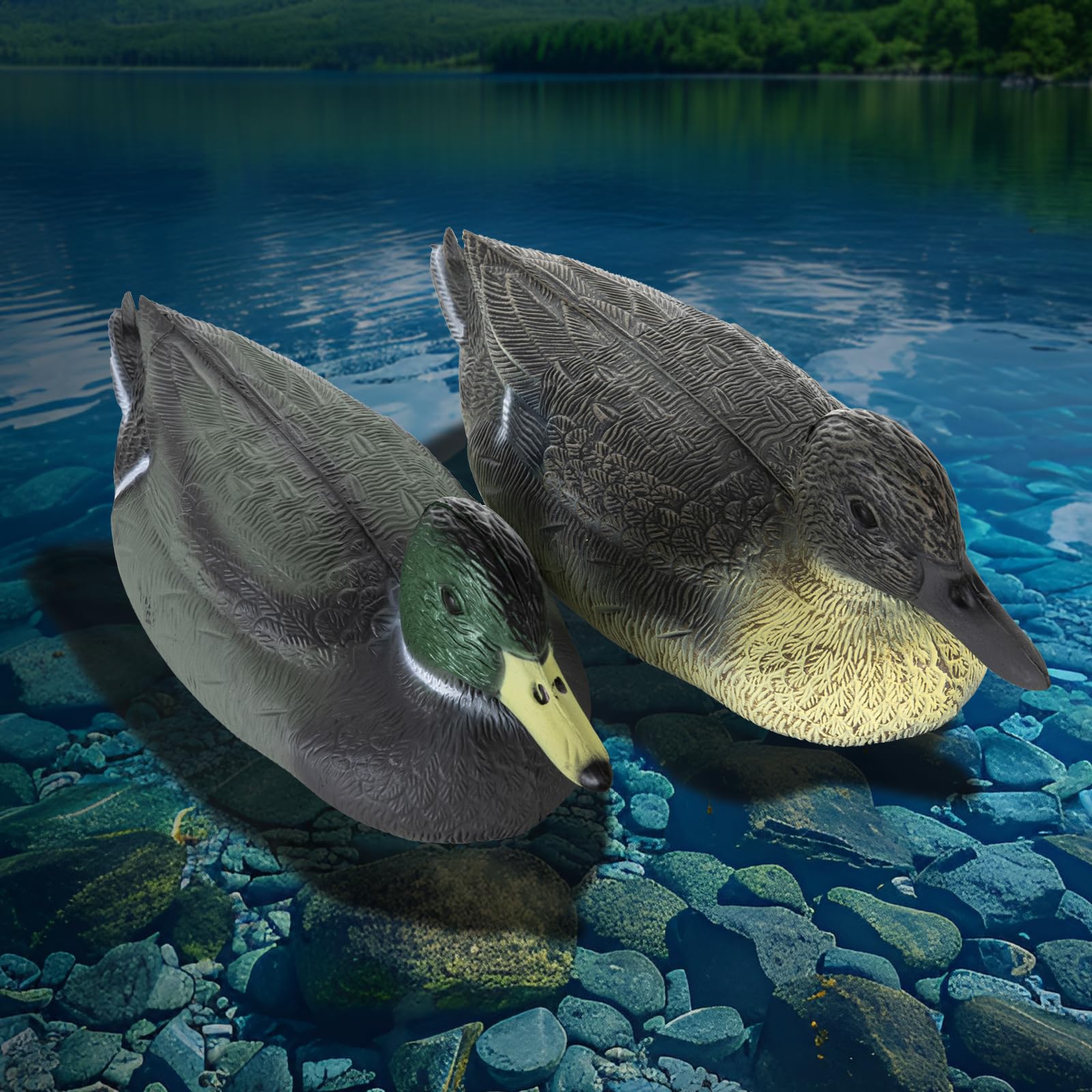 Señuelos de pato, señuelo de caza de patos, decoración de jardín, señuelo de pato flotante para piscina, estanque y lago, un hombre, una mujer.