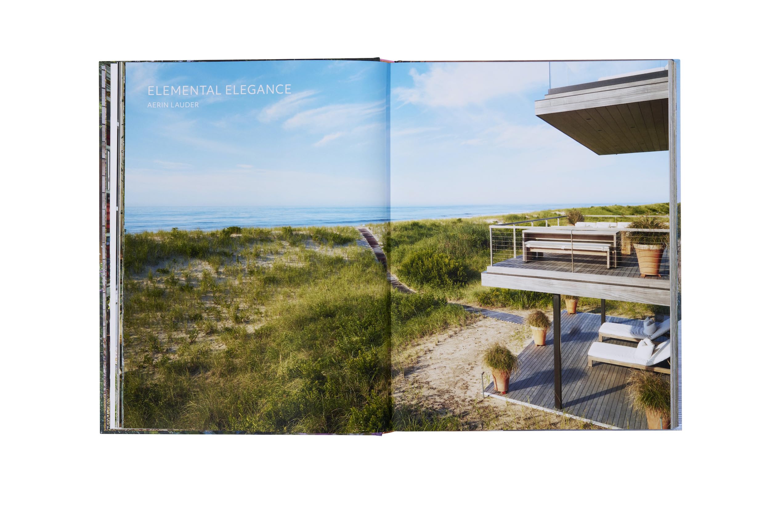 Inside the Hamptons (The Inside Series)