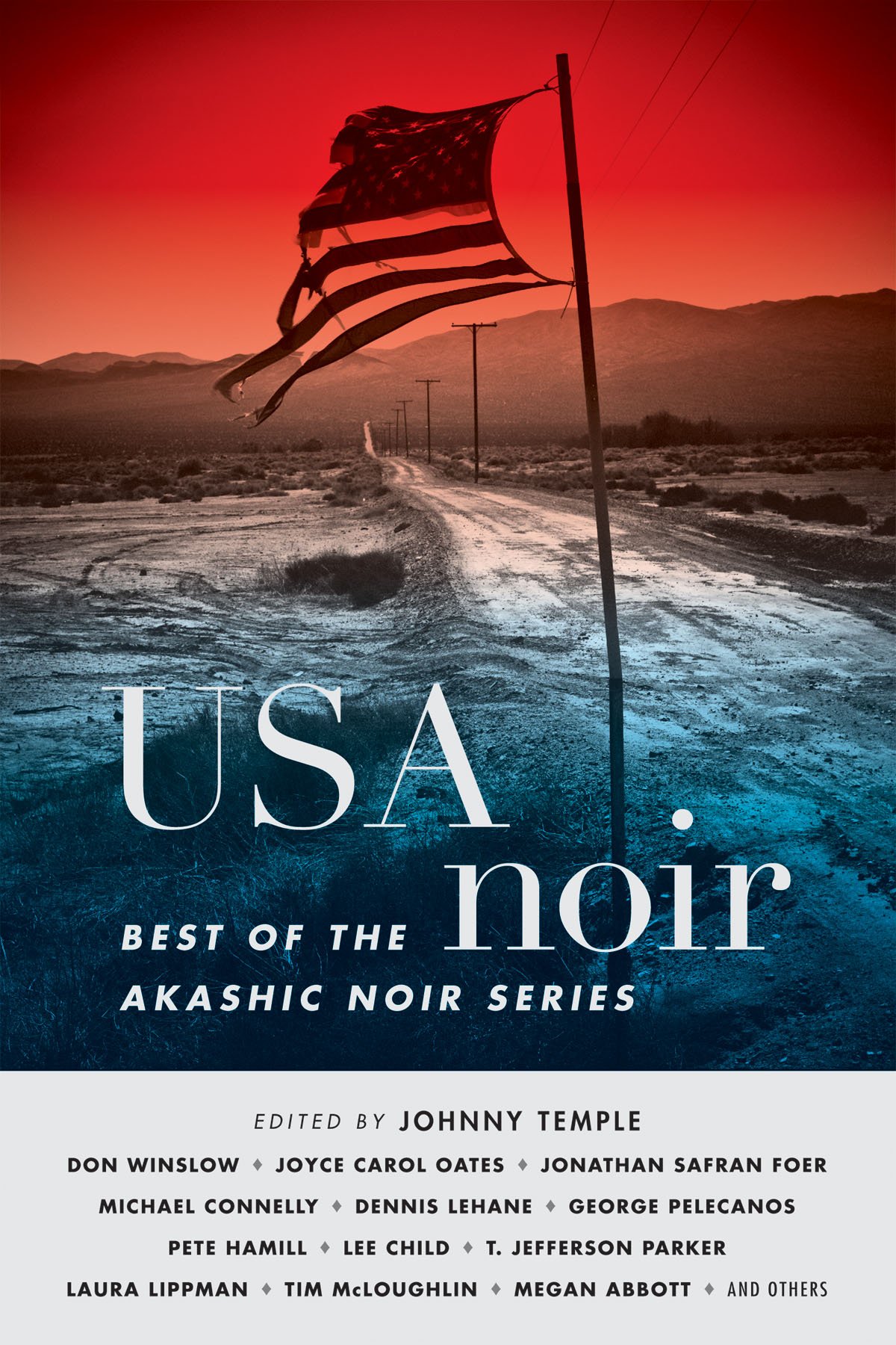 Buy USA Noir: Best of the Akashic Noir Series — BookShops.in