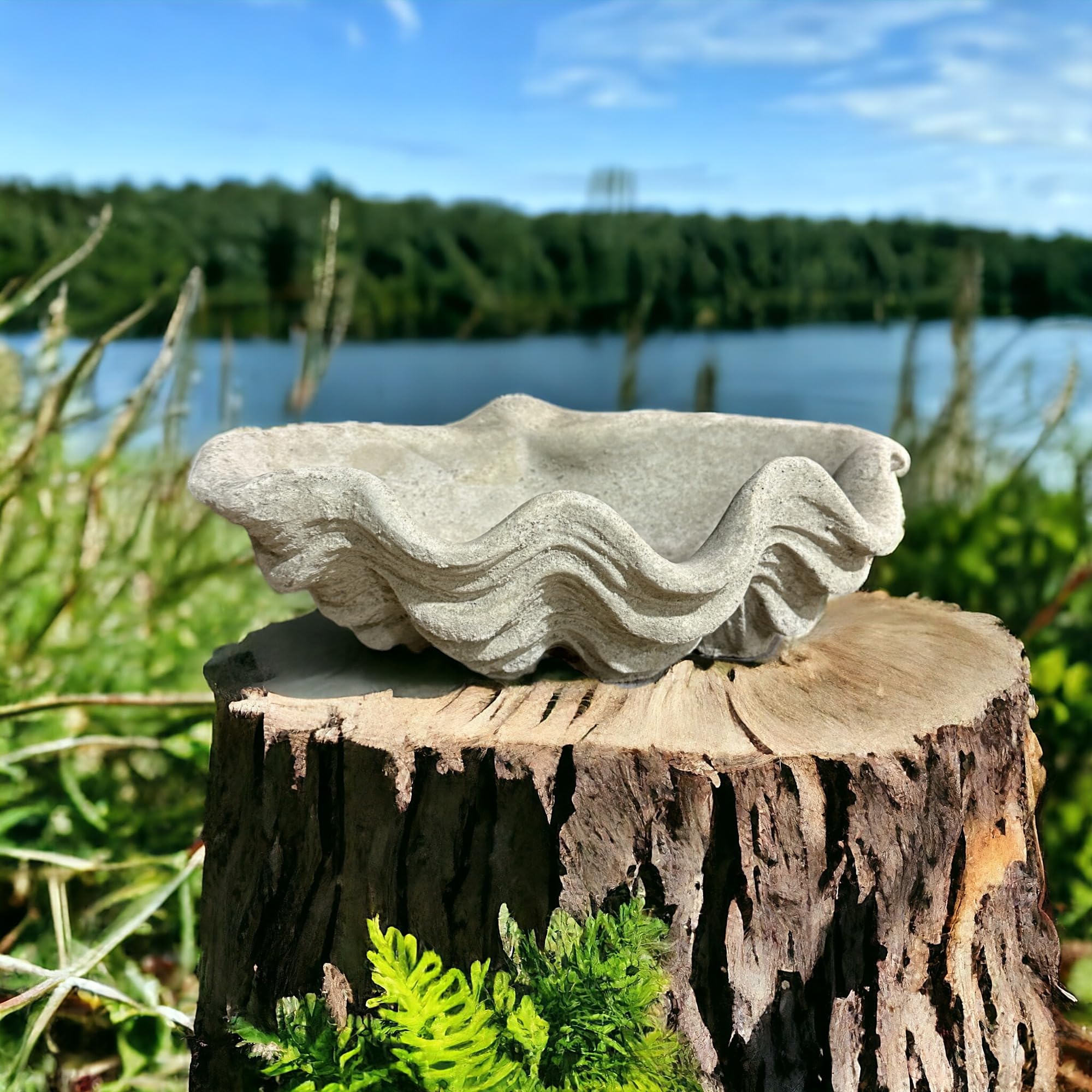 OriginalPaul Skulp & Betondesign Vogeltränke Muschel - Handgefertigt aus frostresistentem Beton (Höhe 13cm / Breite 39cm / Tiefe 26cm)