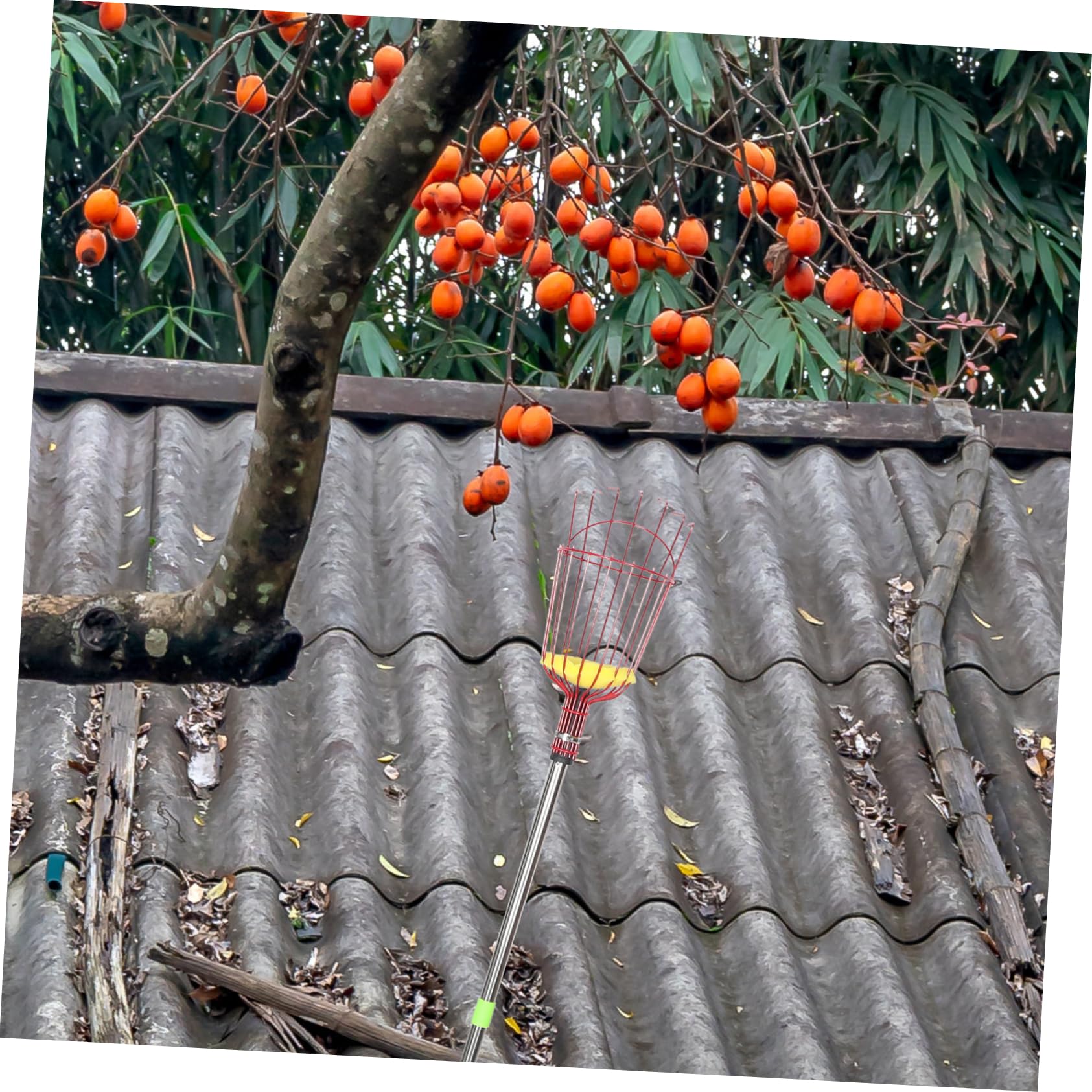 VANZACK Cueilleur de Fruits à Perche Télescopique en Acier Allié Léger avec Longueur Ajustable et Assemblage en Quatre Sections pour Jardin et Récolte de Poires