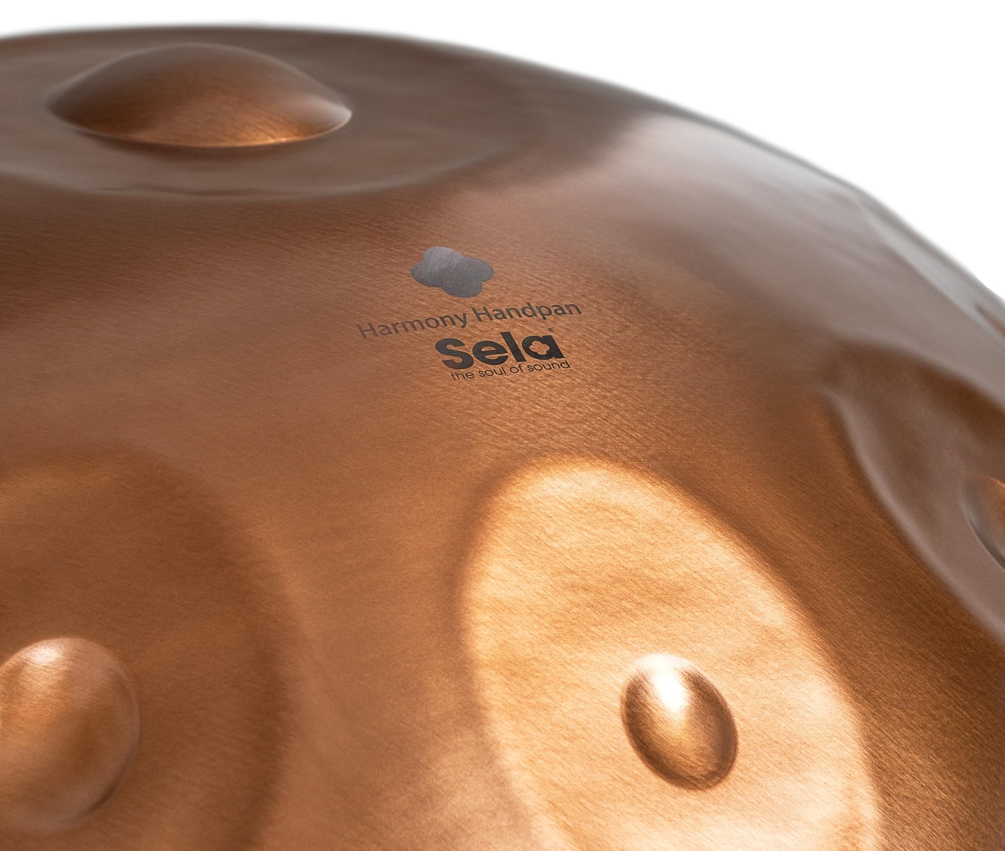 Harmony Handpan D Kurd 10 Phoenix Steel