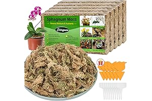 Premium Sphagnum Moss for Orchid Potting