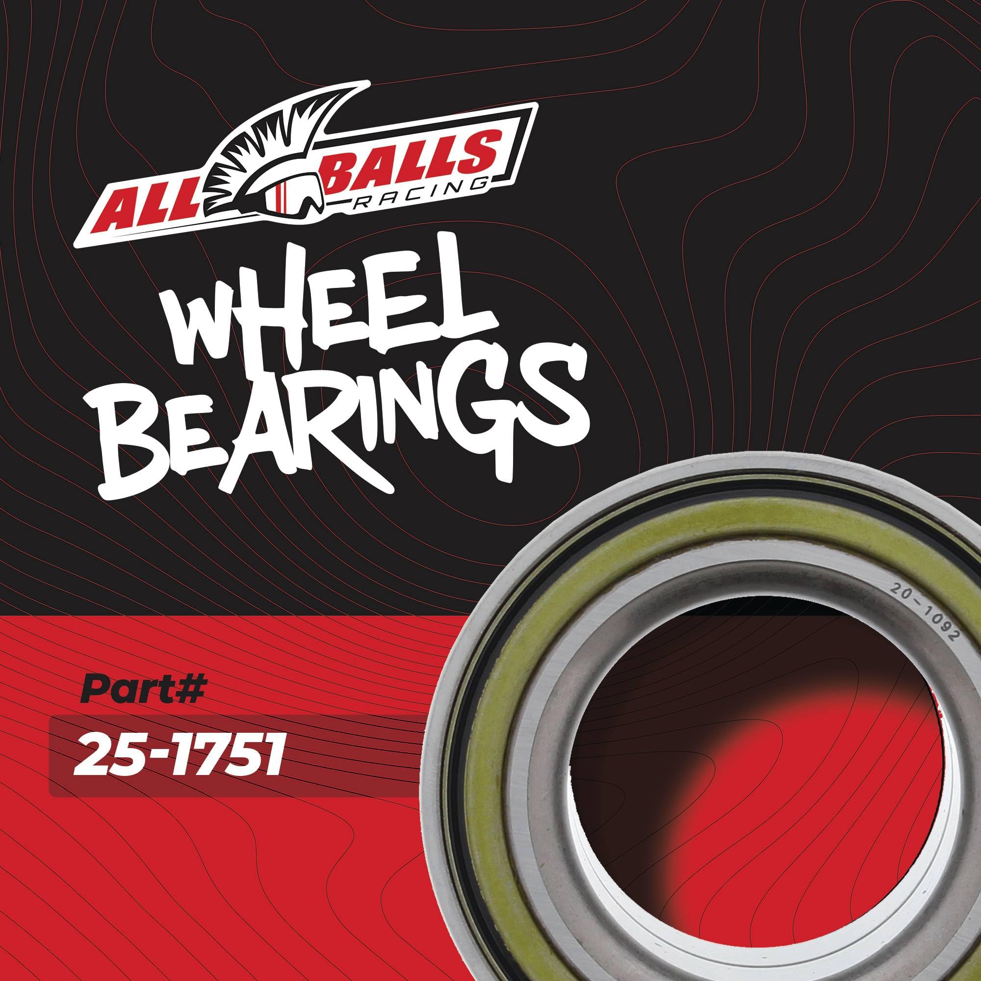 Amazon.com: All Balls Racing 25-1751 Wheel Bearing Kit Compatible