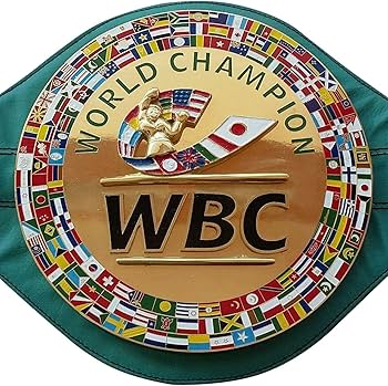 WBC ボクシング チャンピオンベルト レプリカ フルサイズ WBC ボクシング チャンピオンベルト レプリカ フルサイズ - メルカリ
