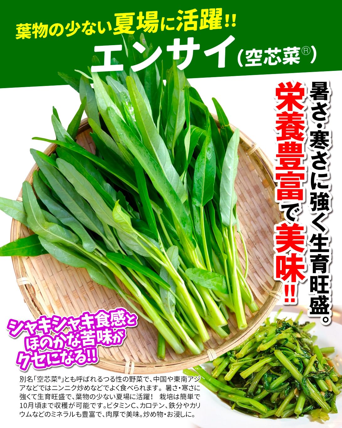 Amazon.co.jp: 種 野菜たね 世界の野菜 エンサイ （空芯菜R） 1袋